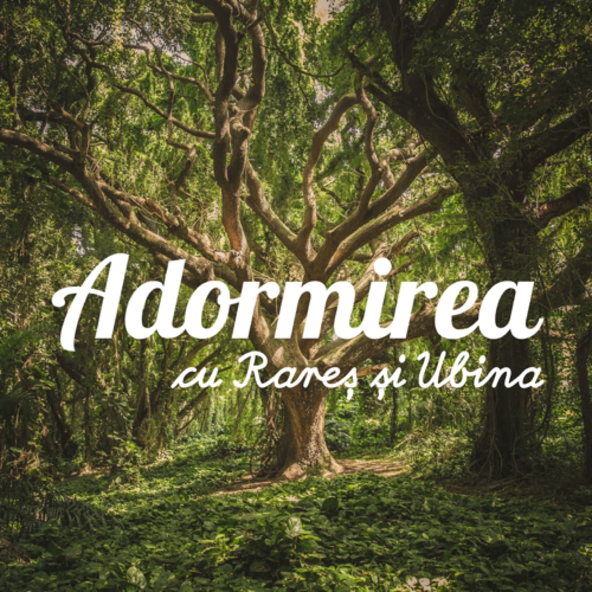 Adormirea - Podcasts