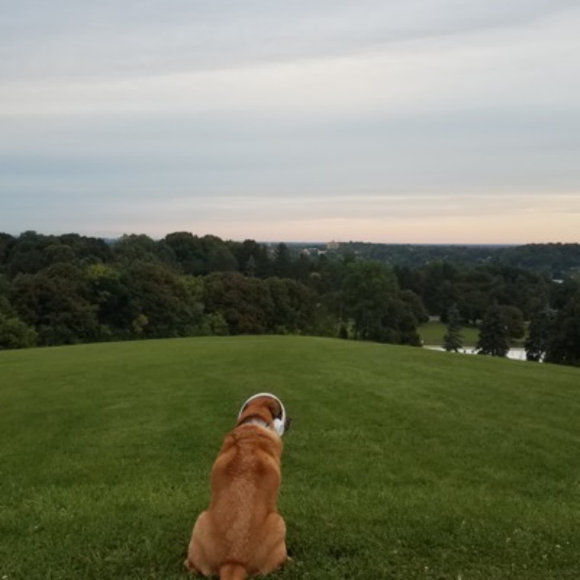 Between The Ears