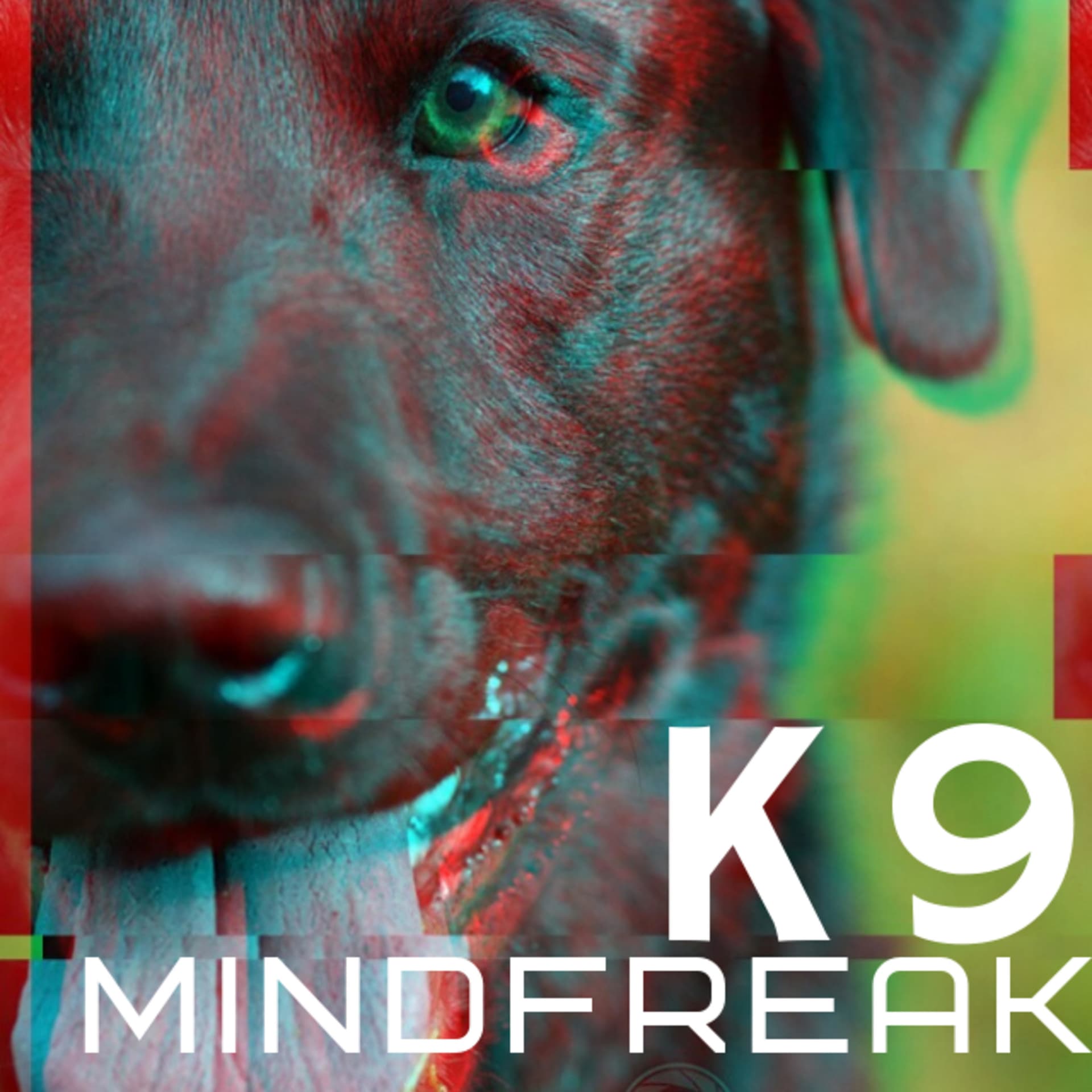 K9 Mindfreak - Podcasts