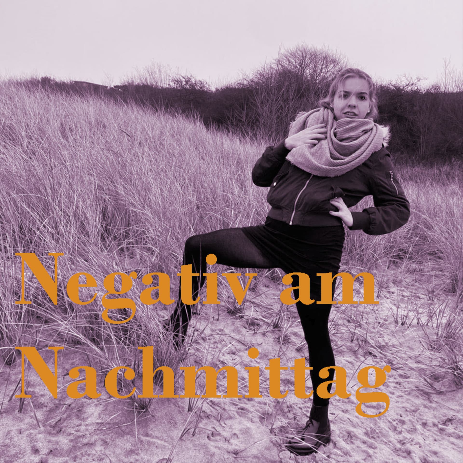 Negativ am Nachmittag - Podcasts
