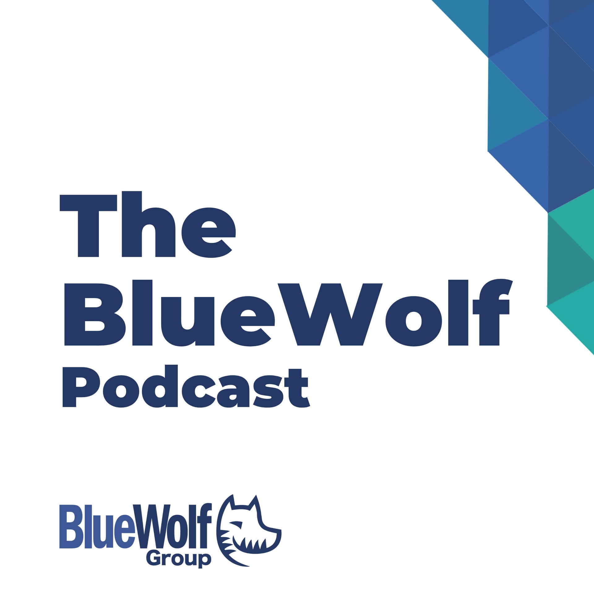 The BlueWolf Group Podcast - Podcasts