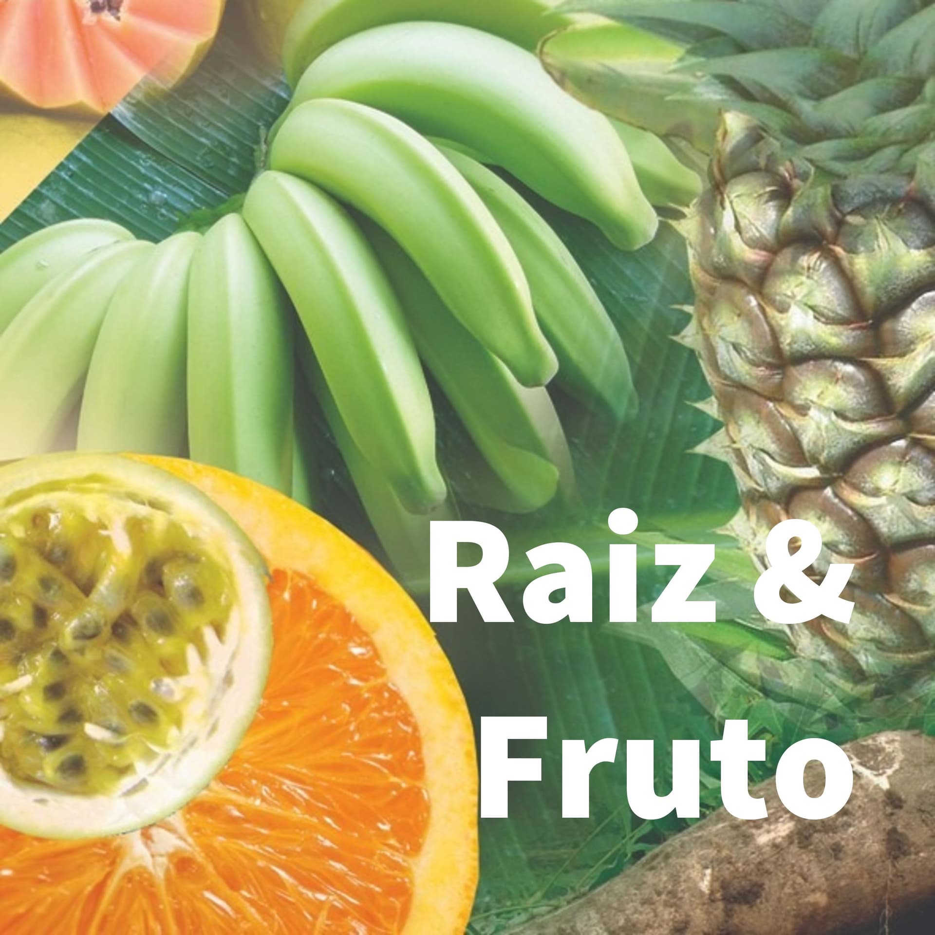 Raiz & Fruto - Podcasts