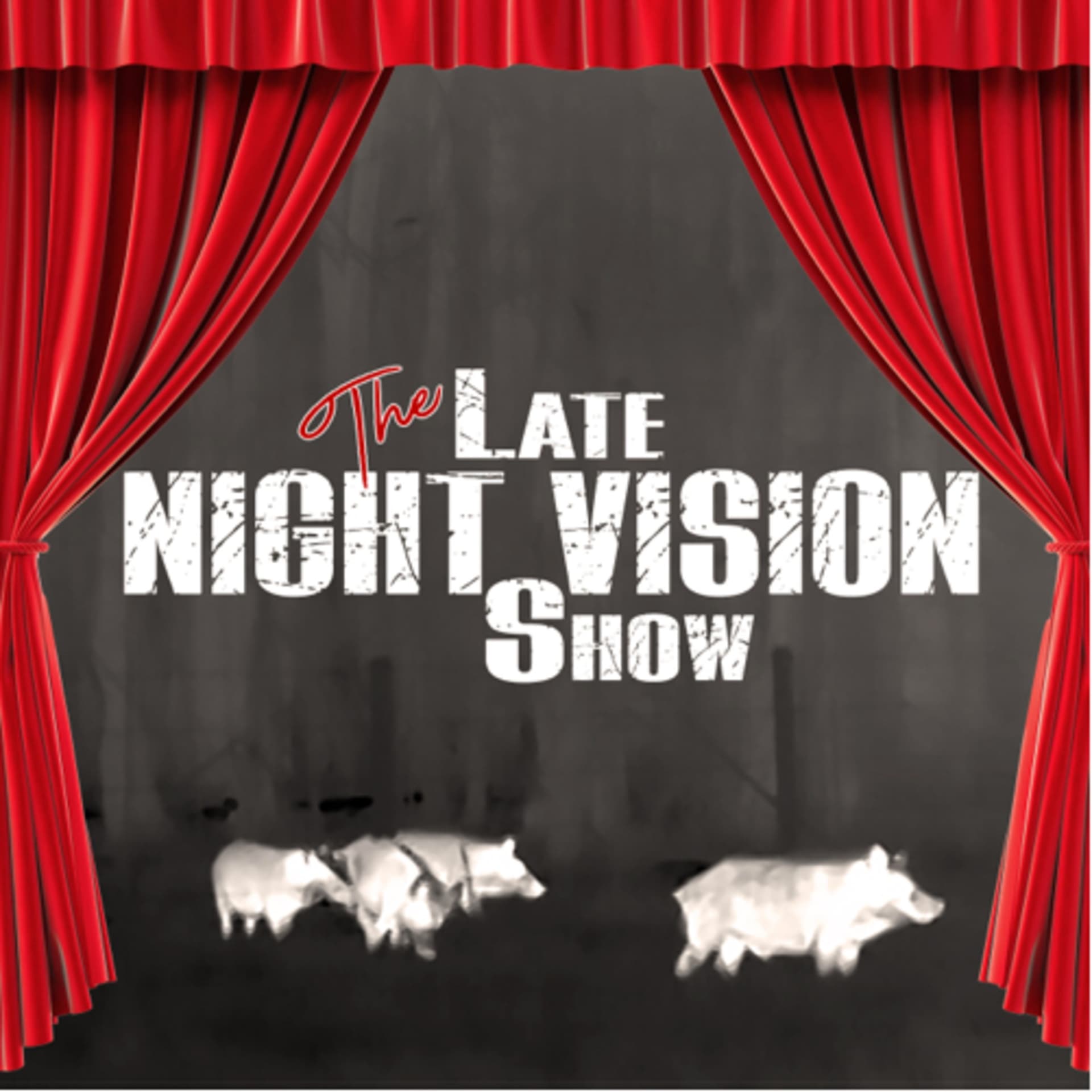 The Late Night Vision Show - Podcasts