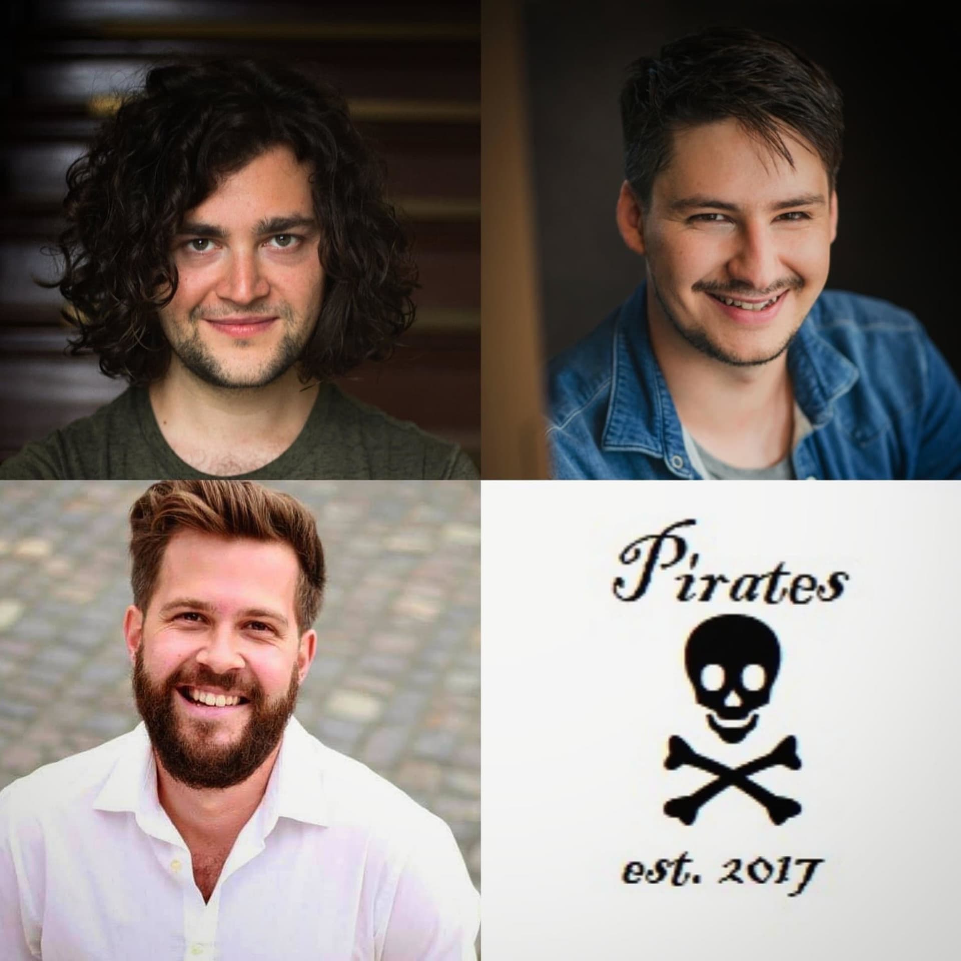 Piratenplausch - Podcasts
