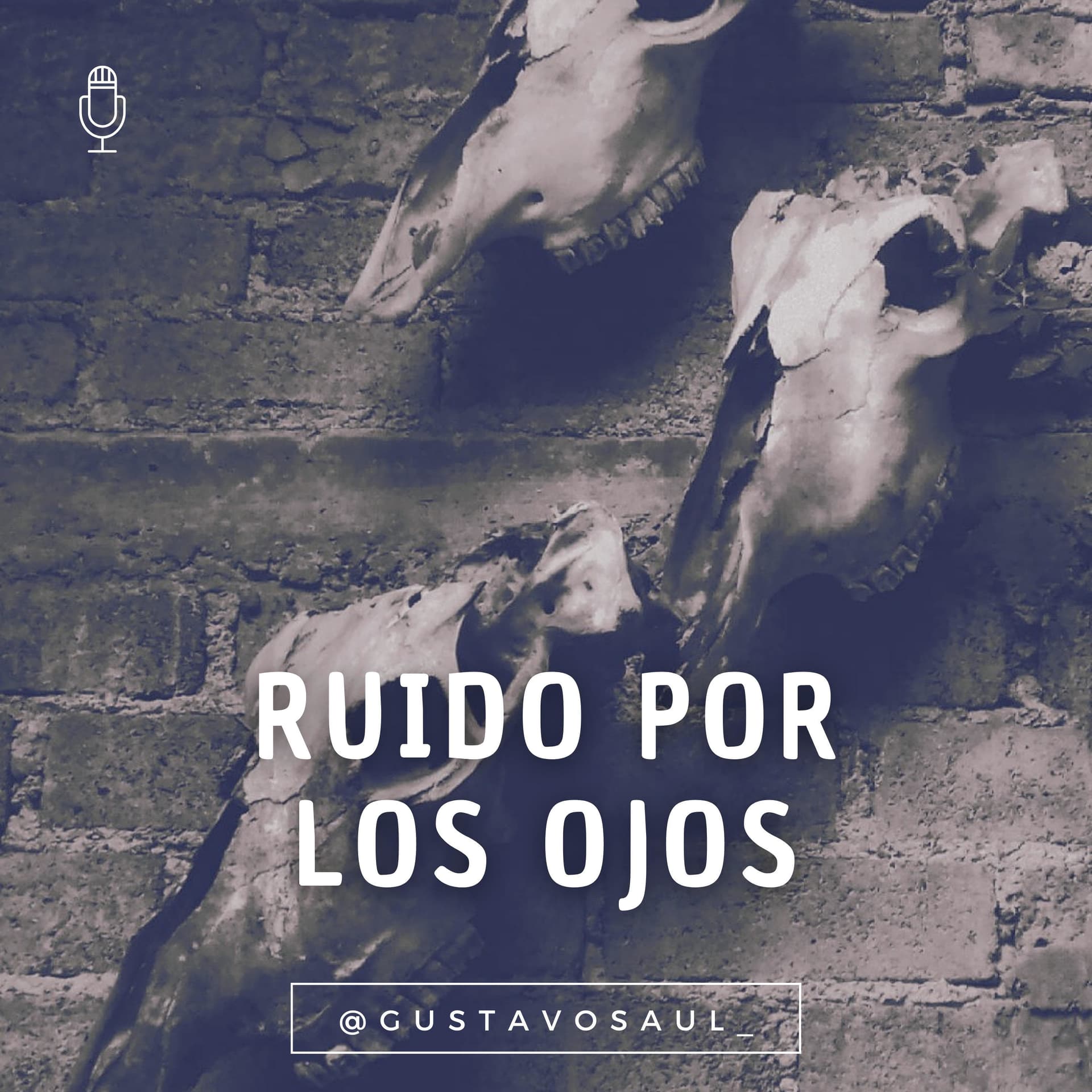 Ruido Por Los Ojos - Podcasts
