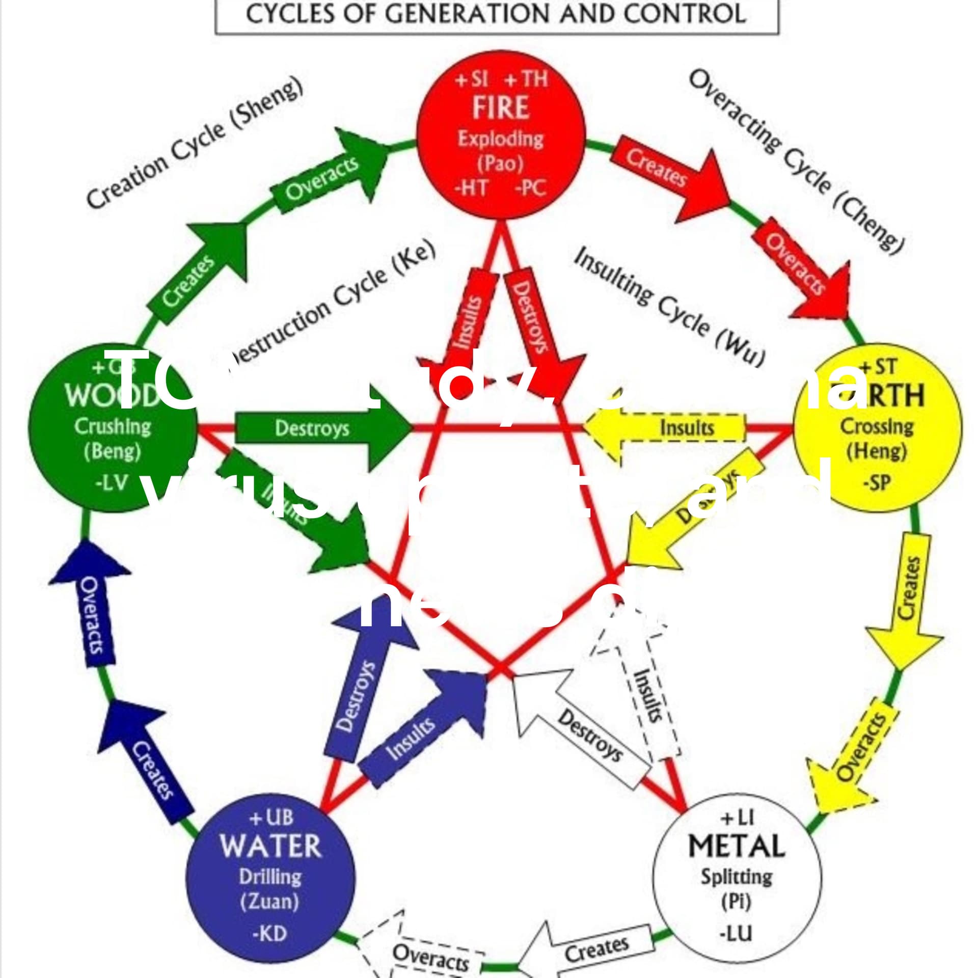 Learn Traditional Chinese Medicine, Functional Medicine and any kinds of Alternative Medicine - Podcasts