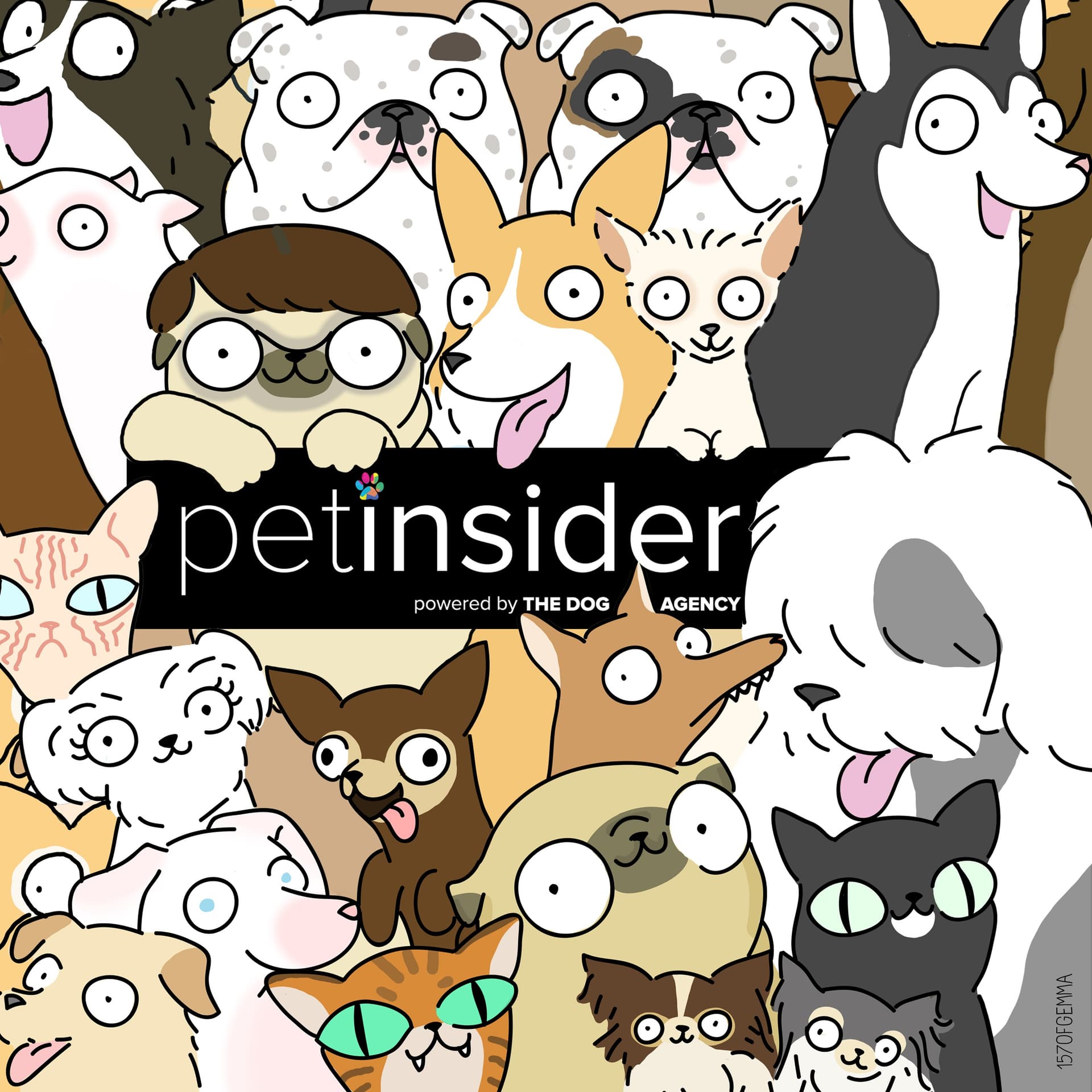 PetInsider - Podcasts