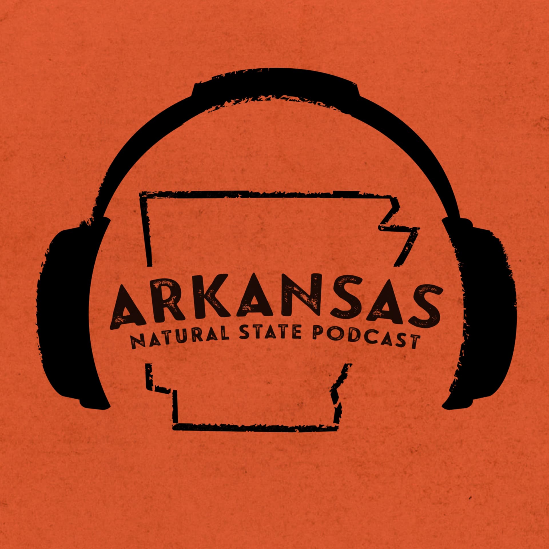 The Natural State Podcast - Podcasts