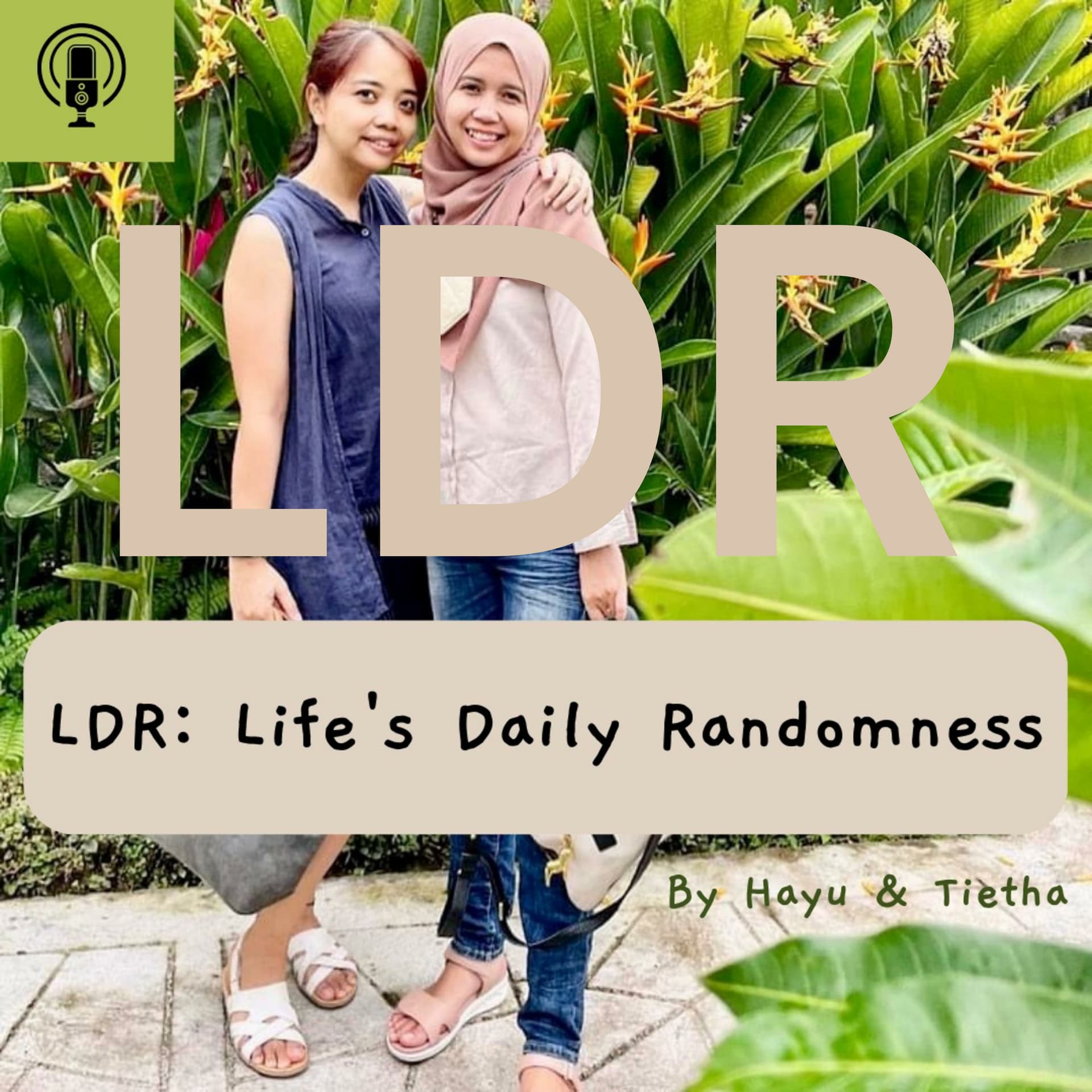 LDR: Life's Daily Randomness - Podcasts