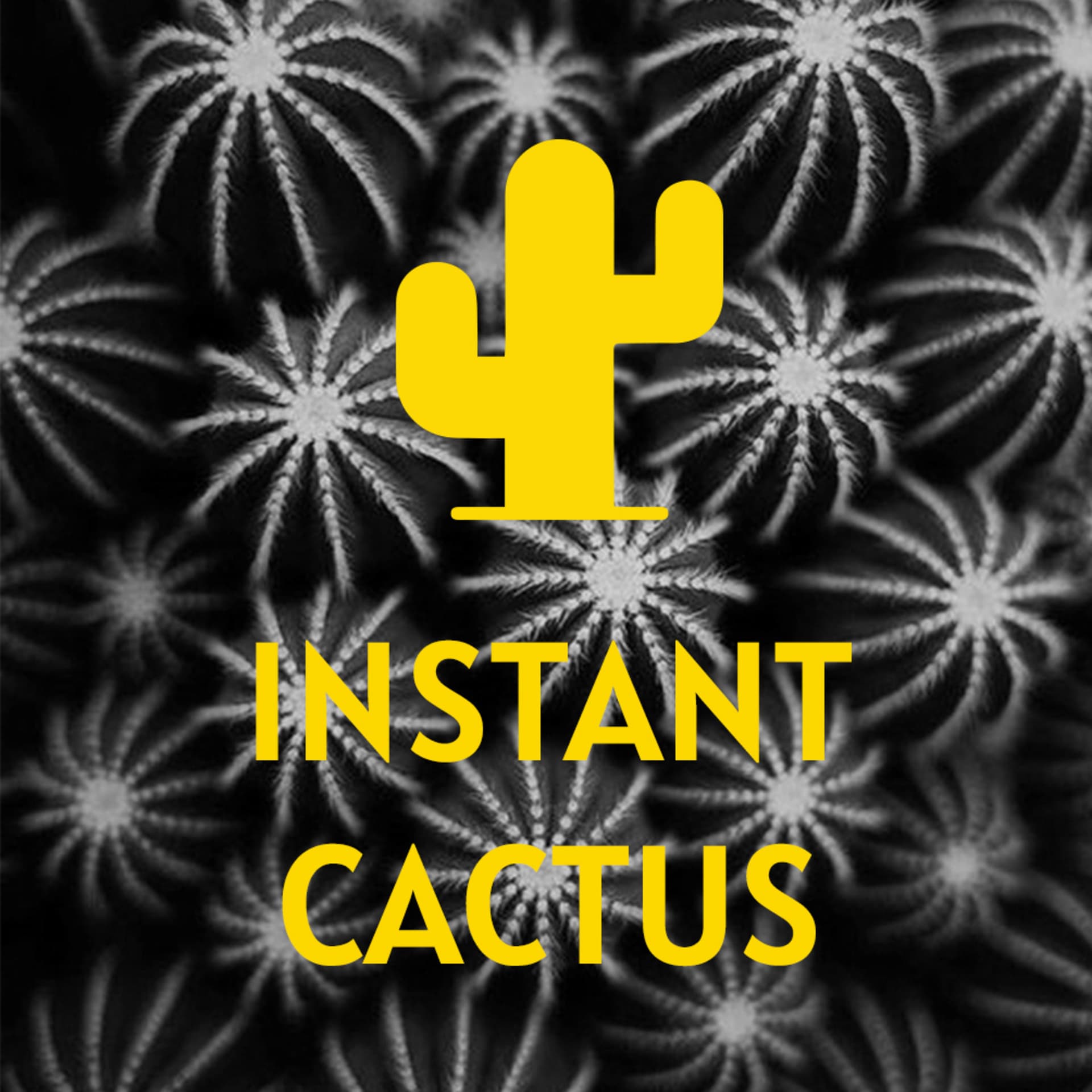 Instant Cactus - Podcasts