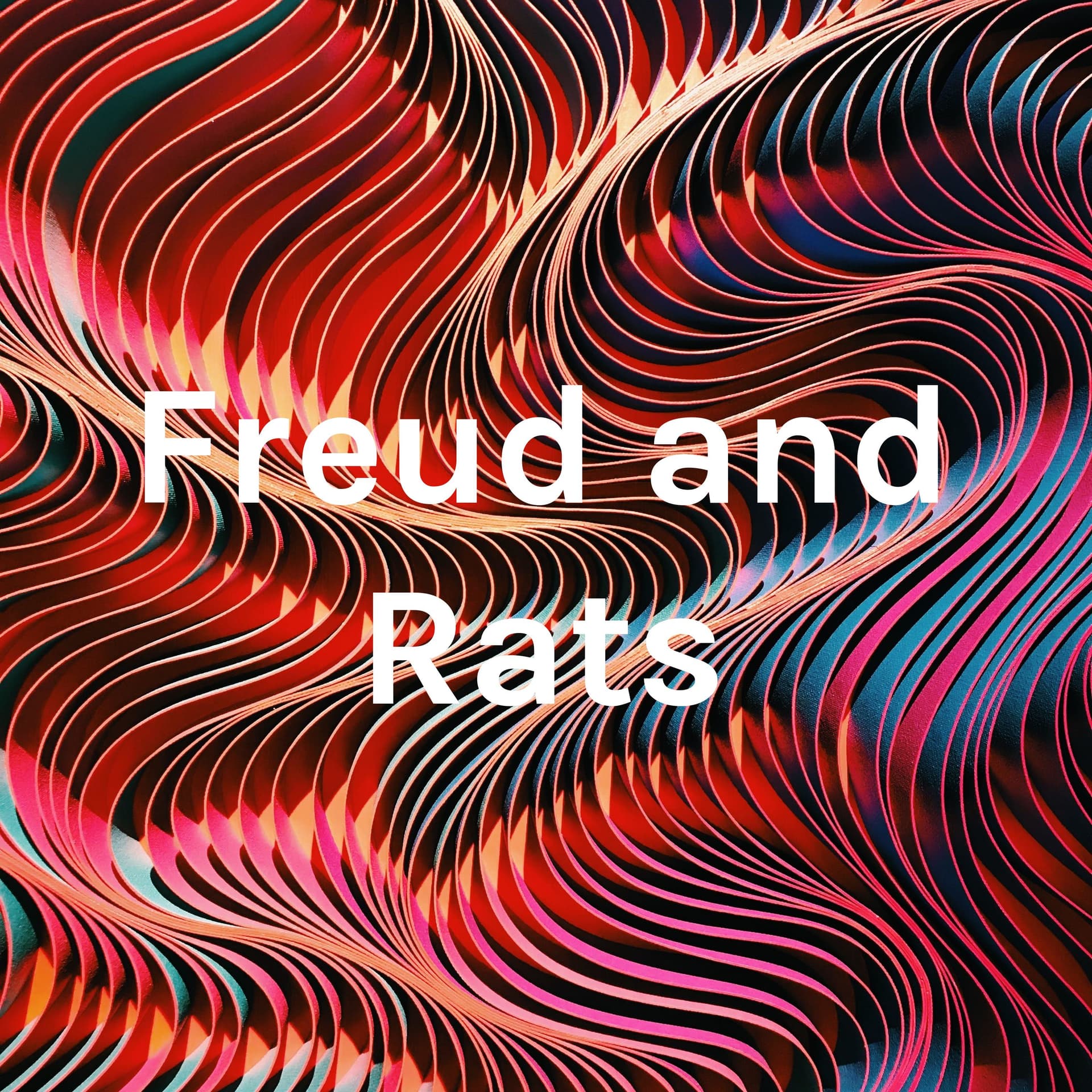 Freud and Rats