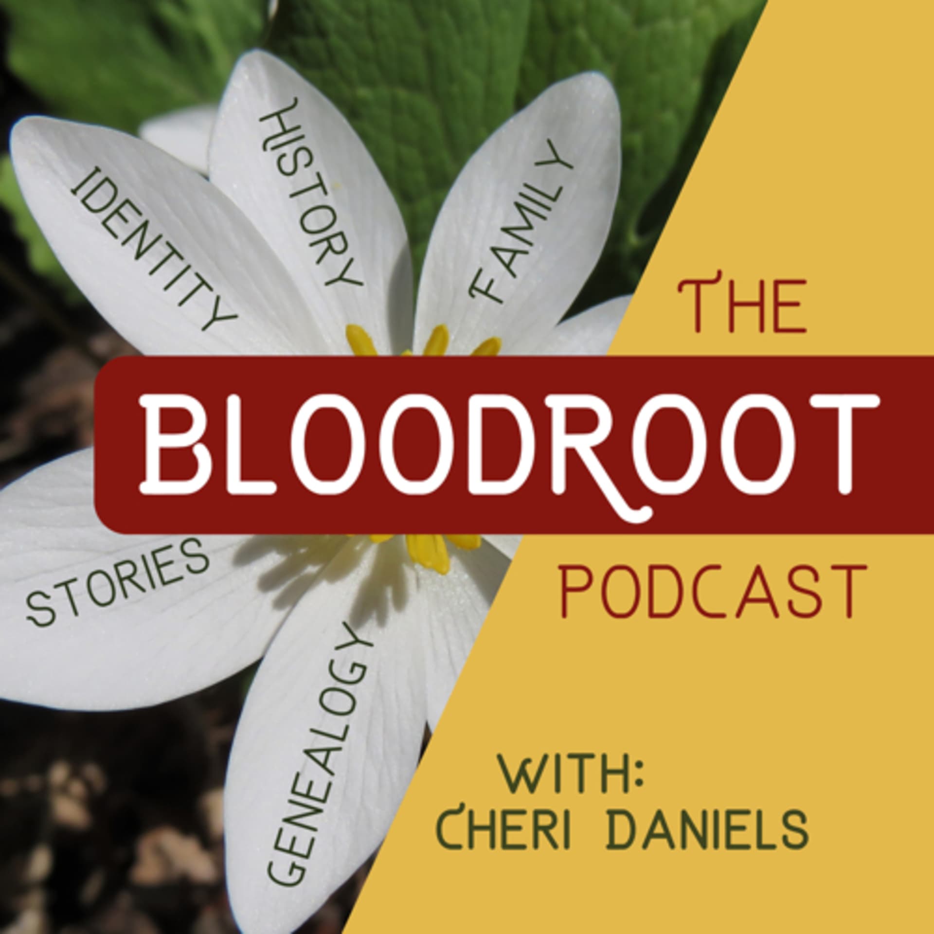 BloodRoot - Podcasts