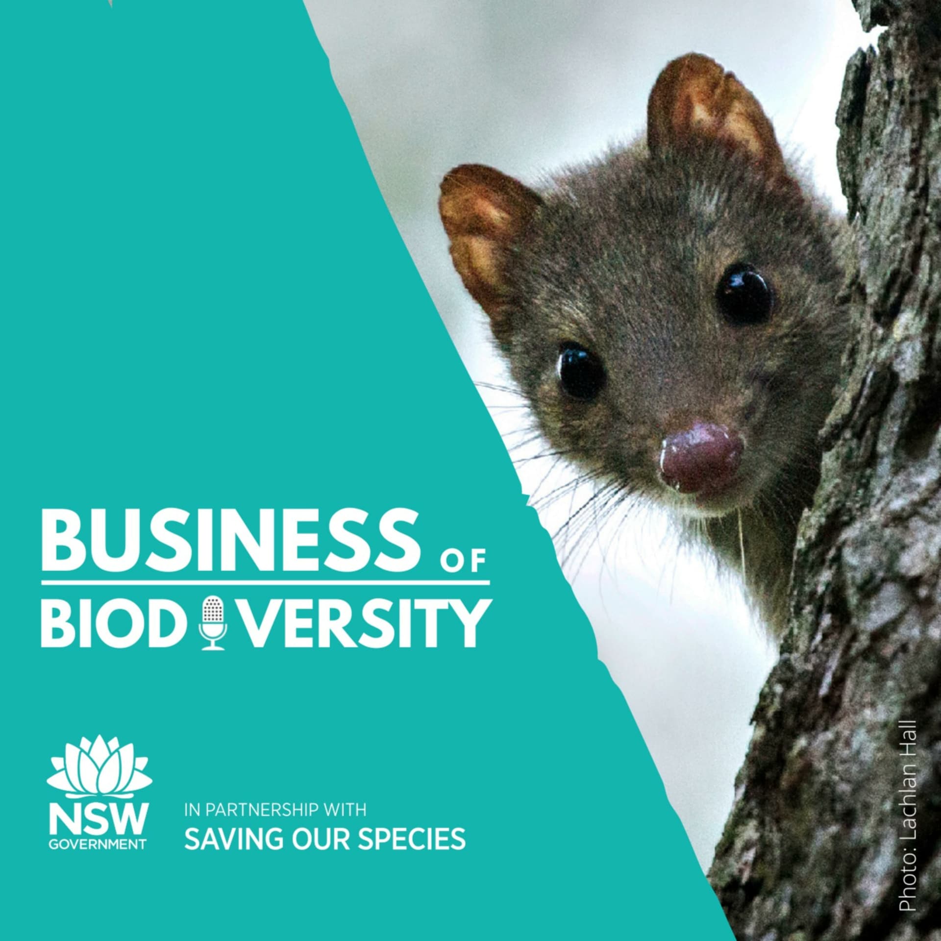 Business of Biodiversity - Podcasts