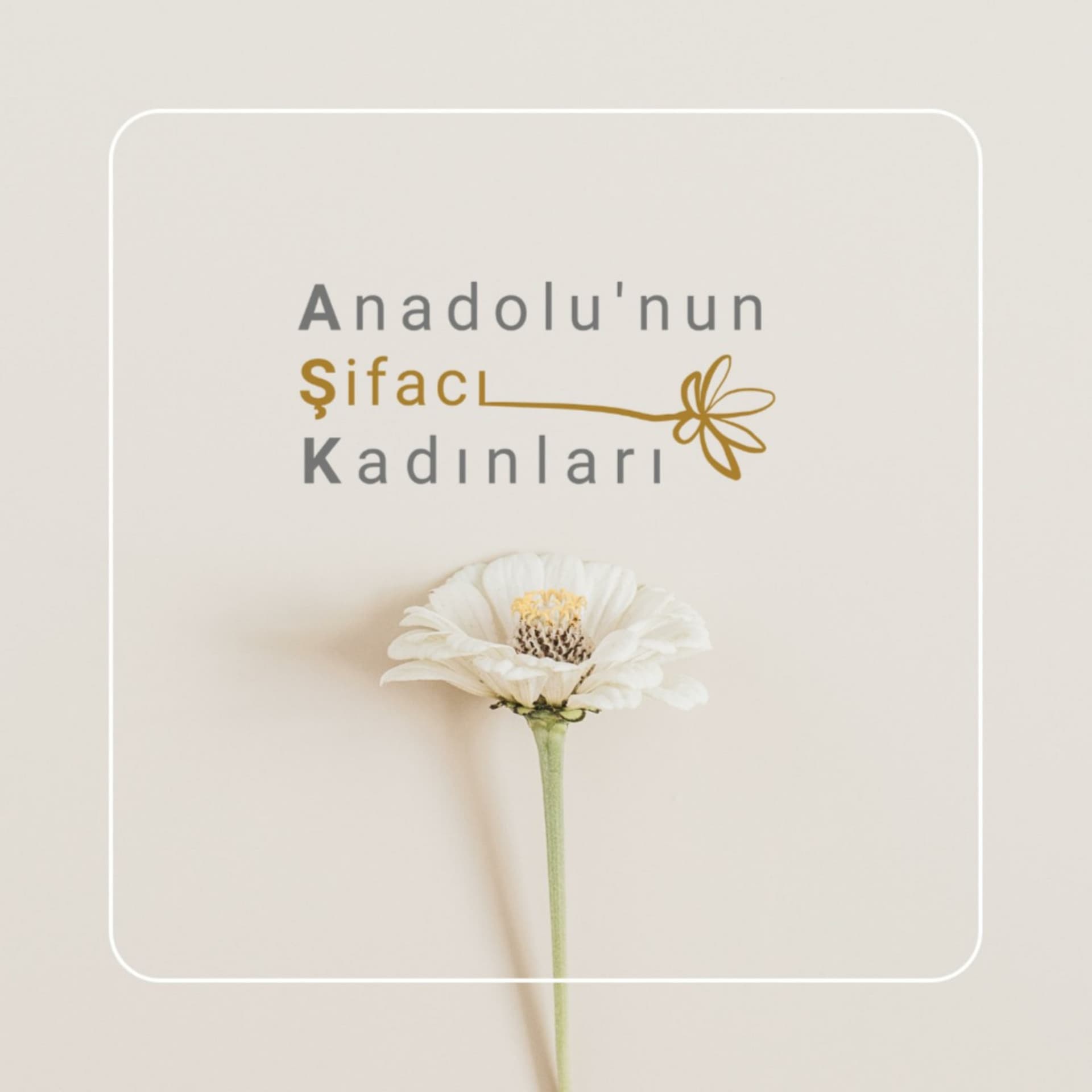 Anadolu'nun Şifacı Kadınları - Podcasts