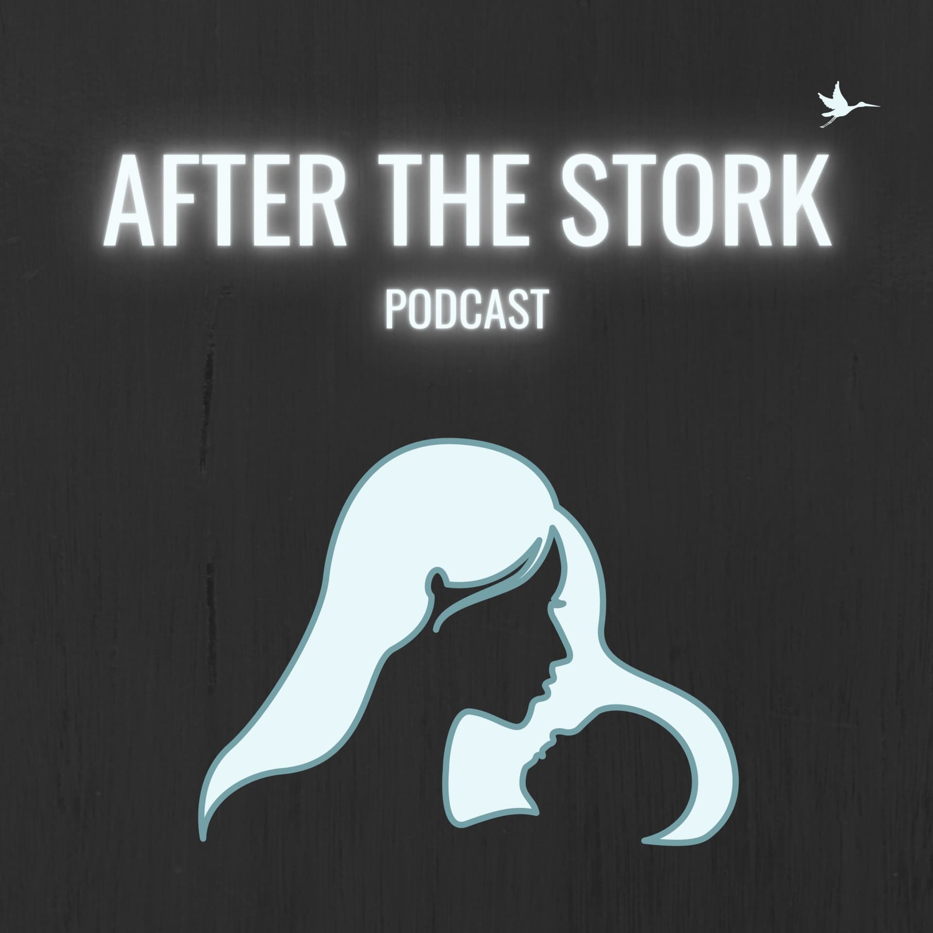 After the Stork Podcast: Infant & Toddler Sleep with Megan Robert - Podcasts