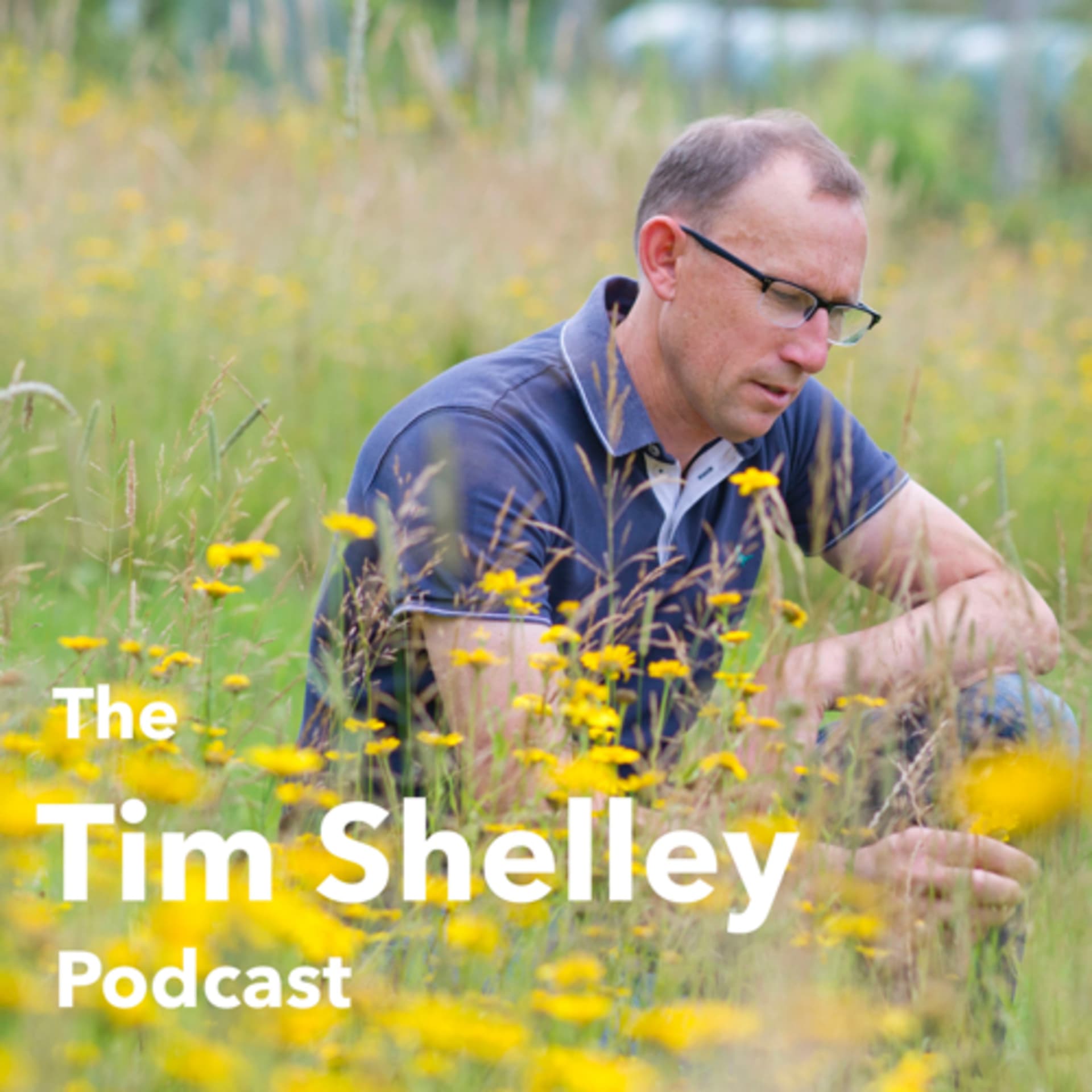 The Tim Shelley Podcast - Podcasts