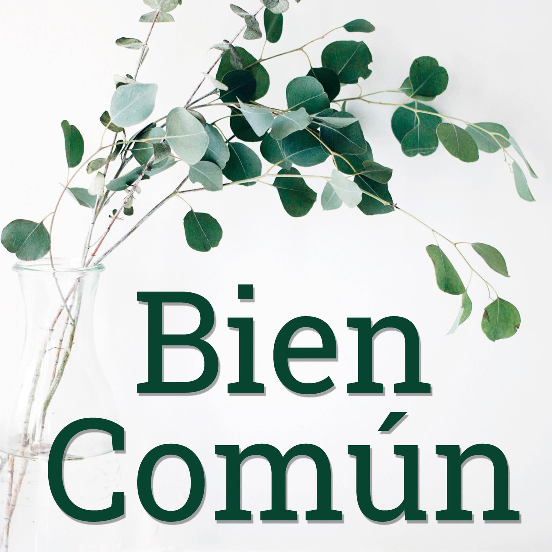 El Bien Común