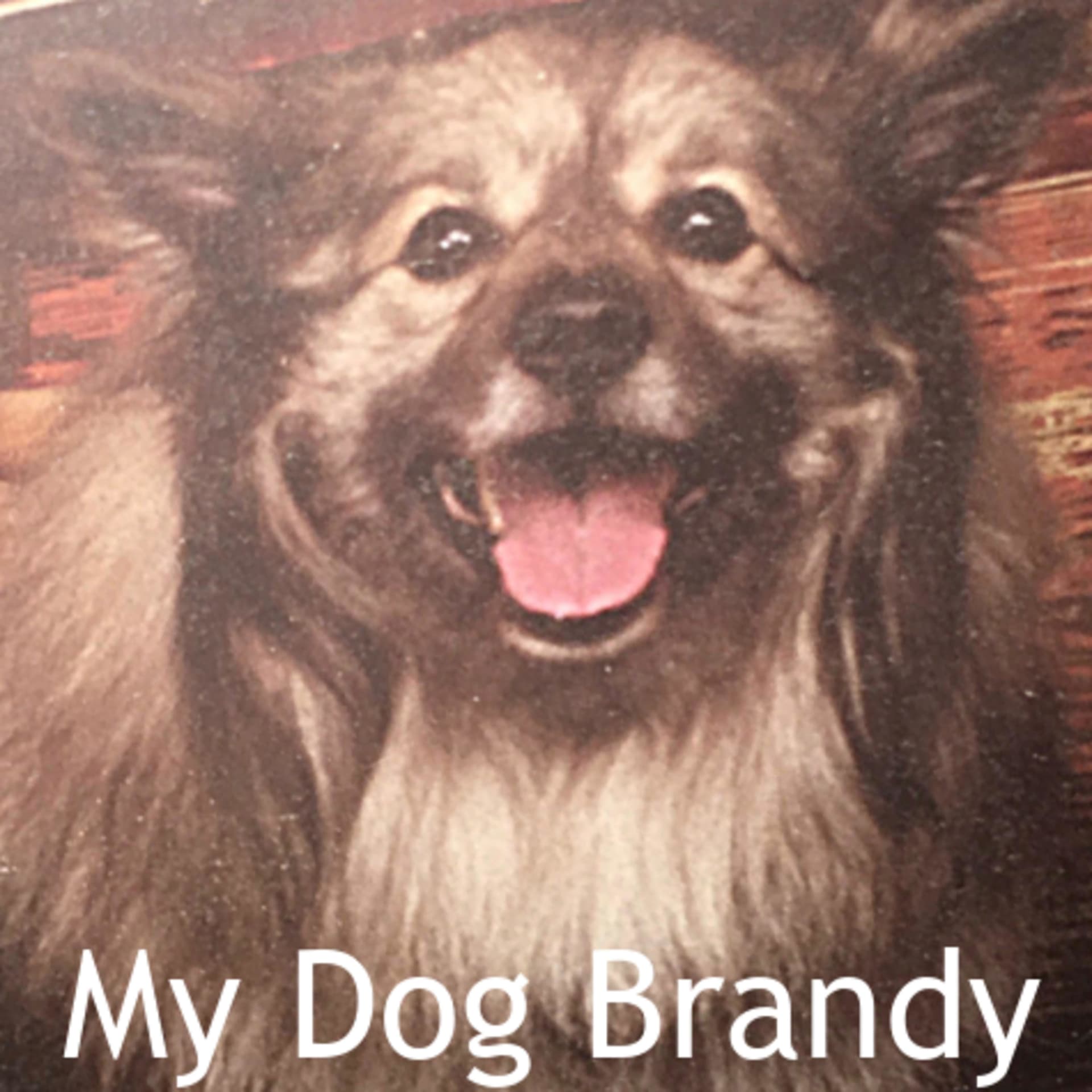 My Dog Brandy - Podcasts
