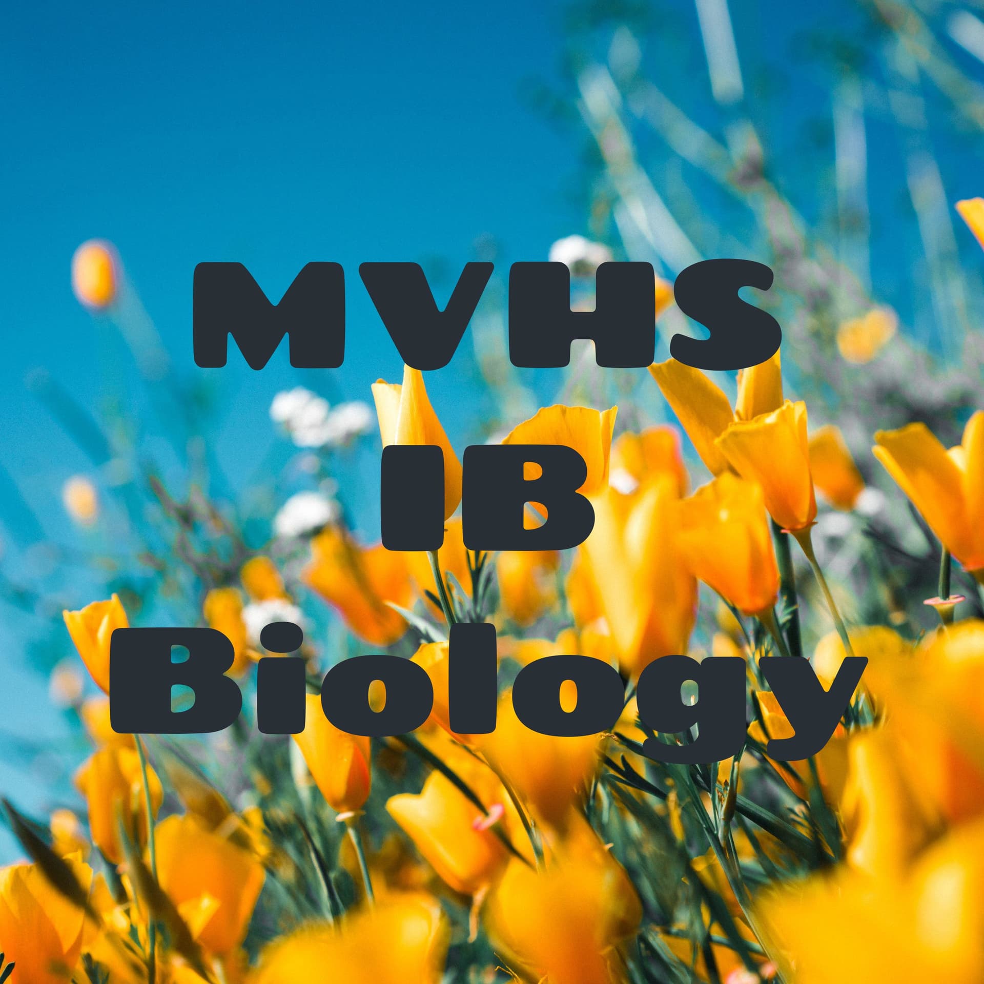 MVHS IB Biology
