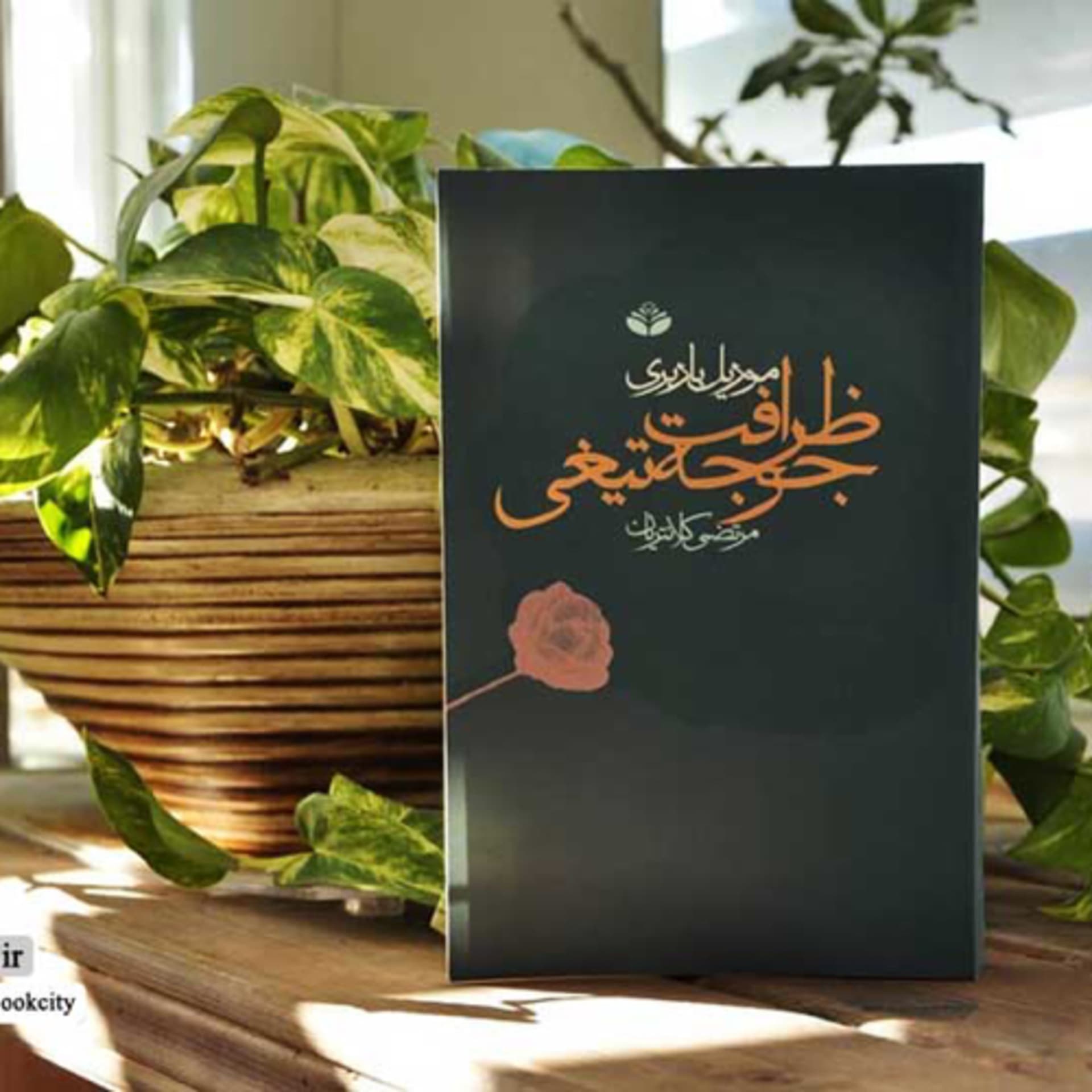 ظرافت جوجه تیغی - Podcasts