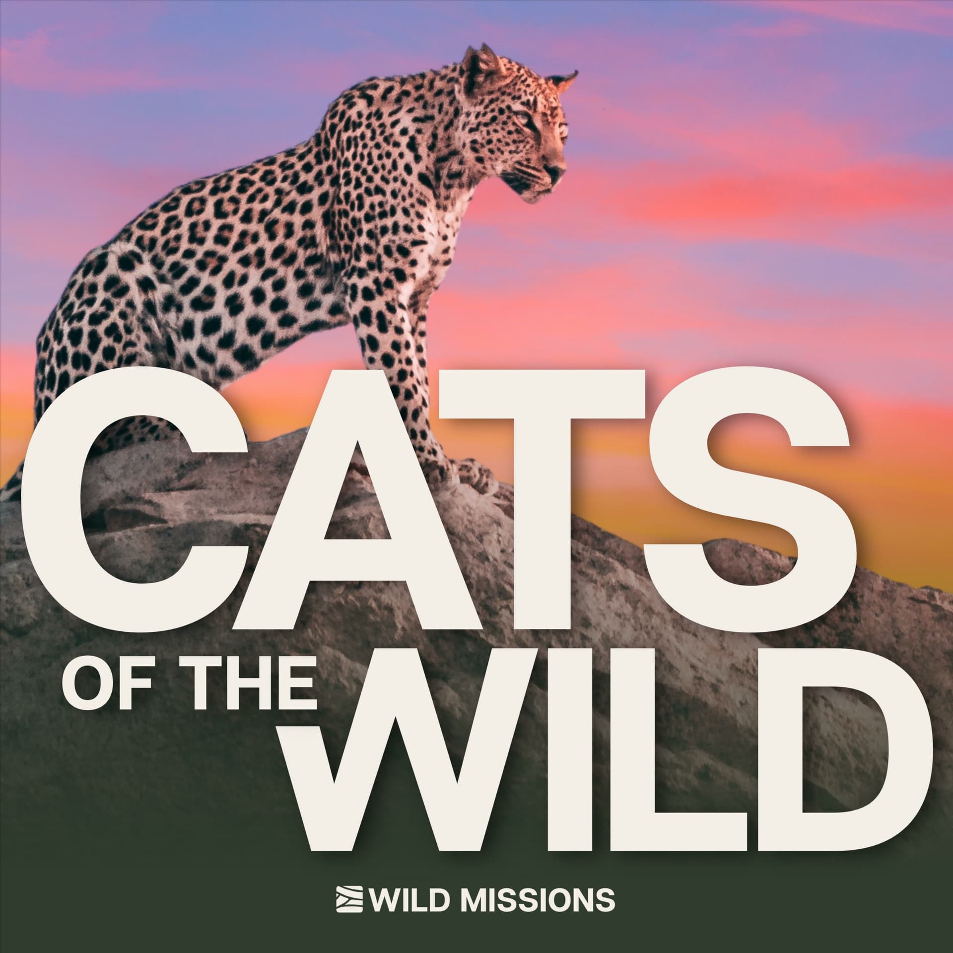Cats of the Wild - Podcasts