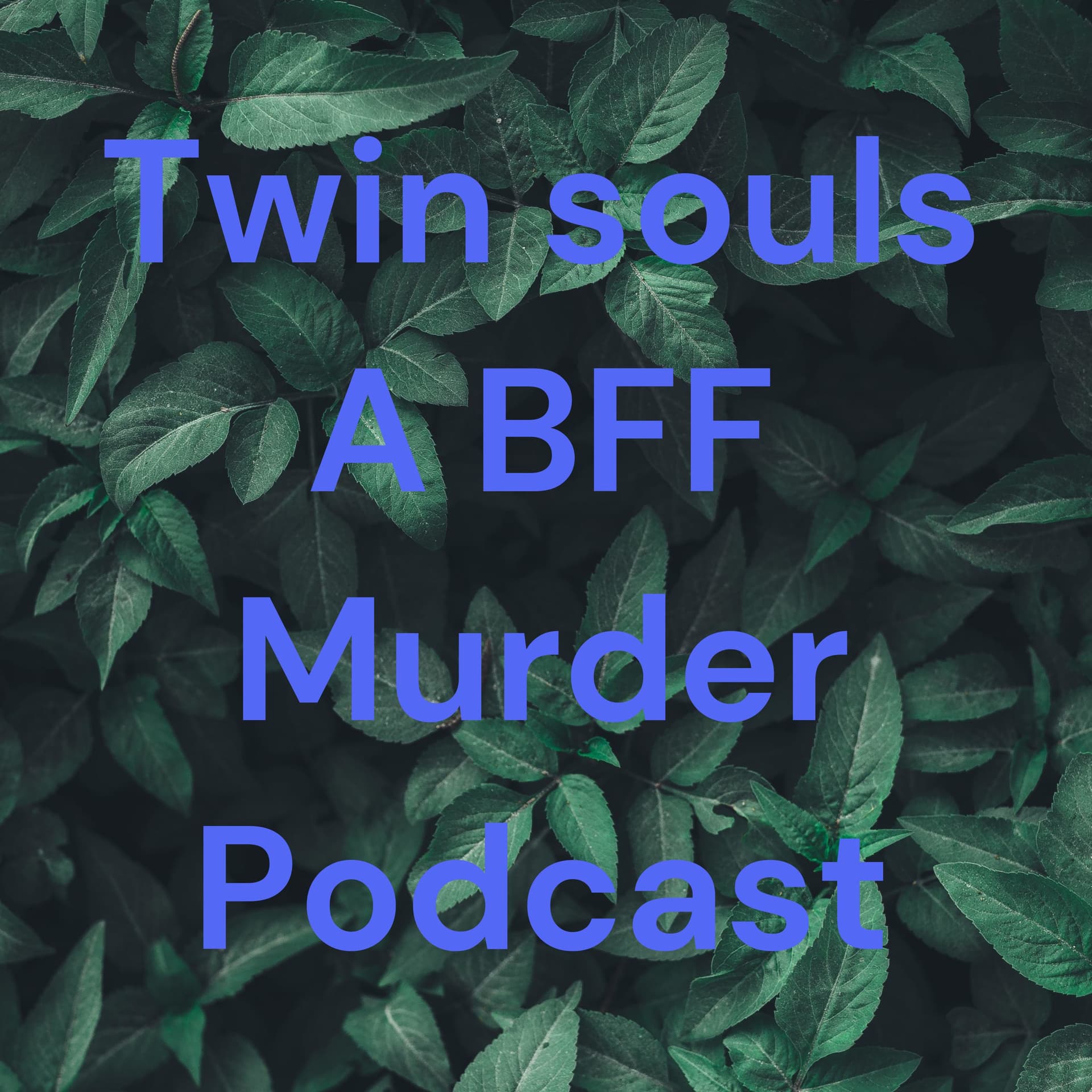 Twin souls A BFF Murder Podcast - Podcasts