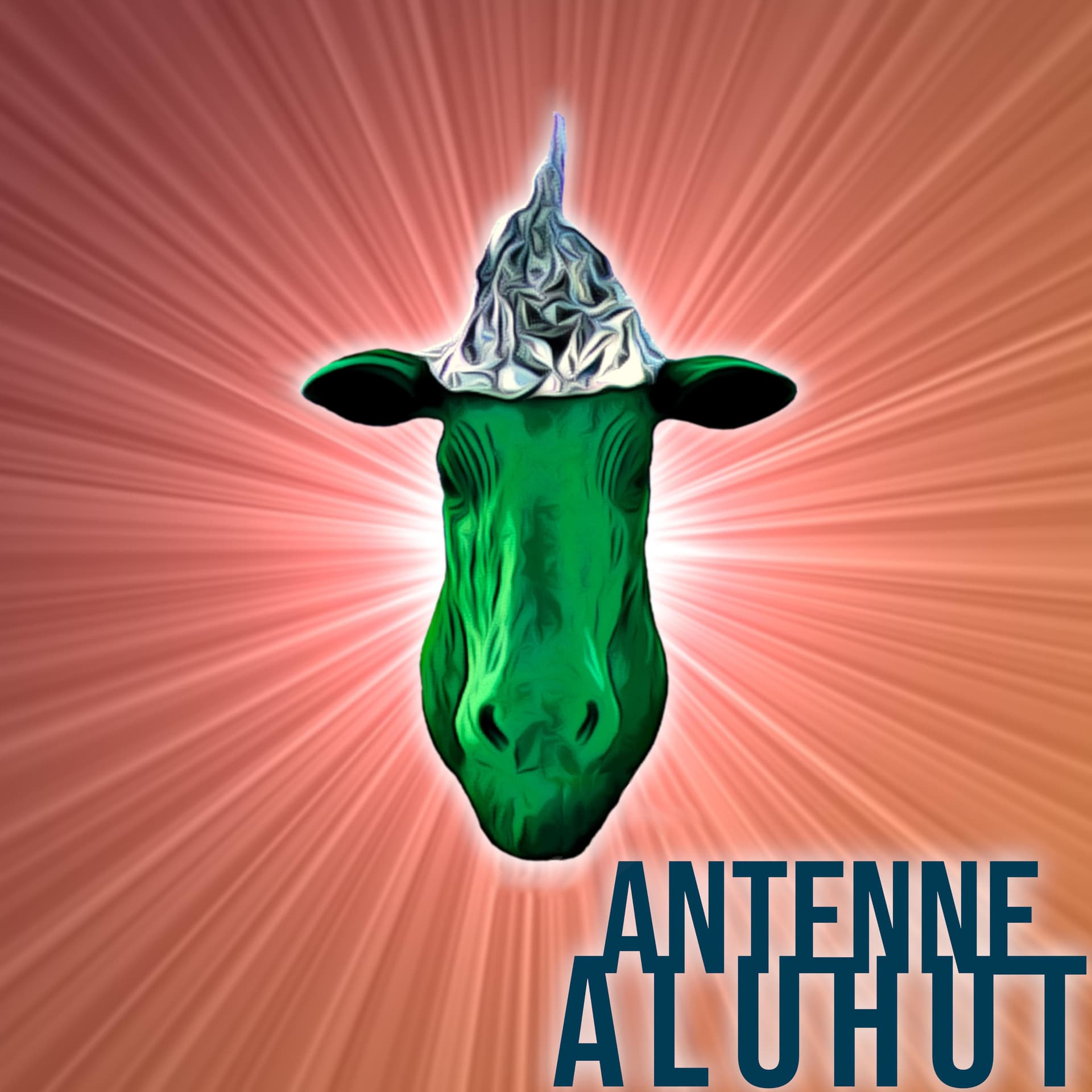 Antenne Aluhut