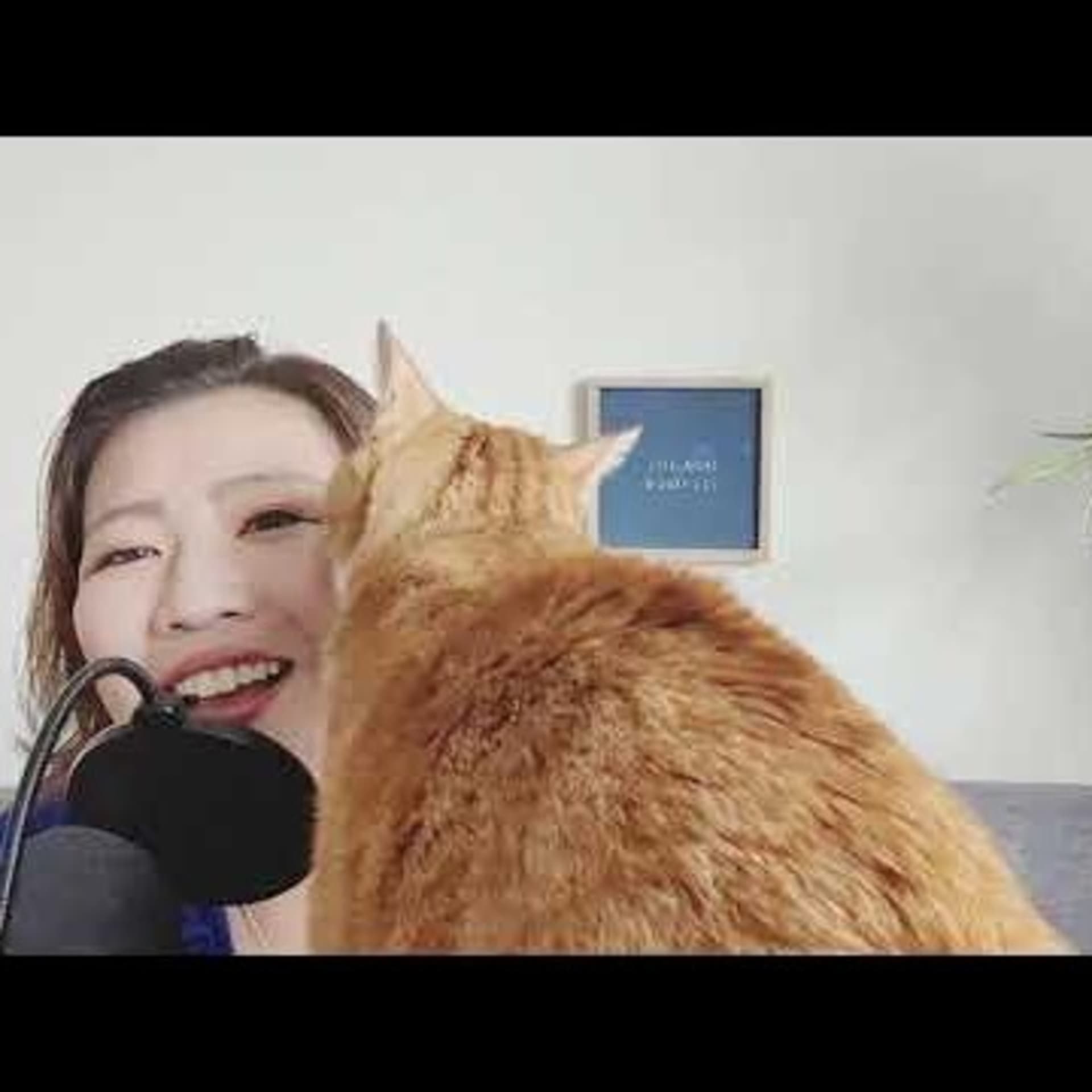 心理セラピストです。 - Podcasts