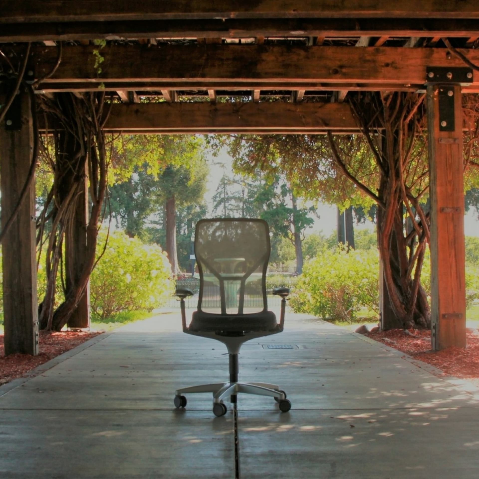 Executive Brain - Podcasts