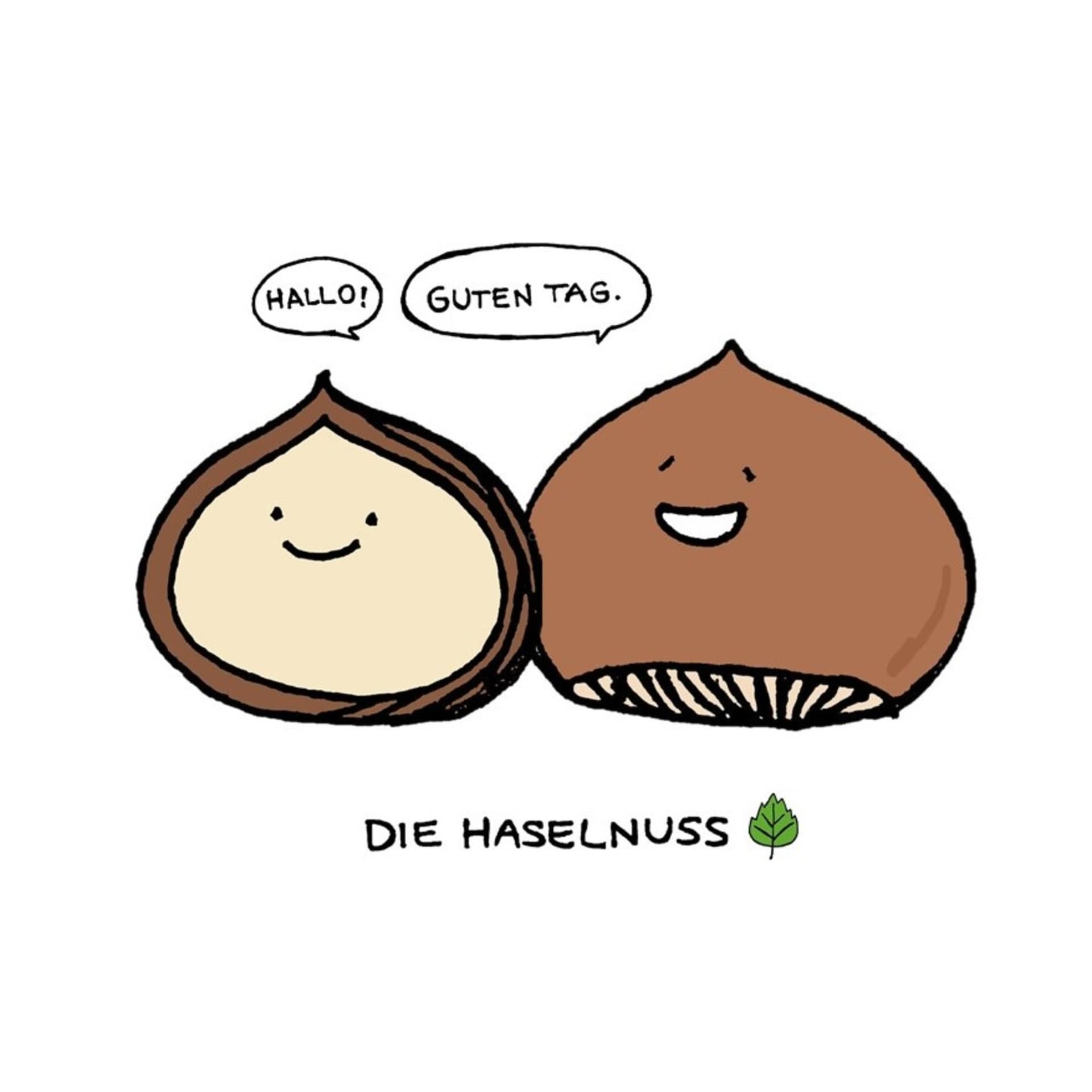 德國夠人玩 Die Haselnuss - Podcasts
