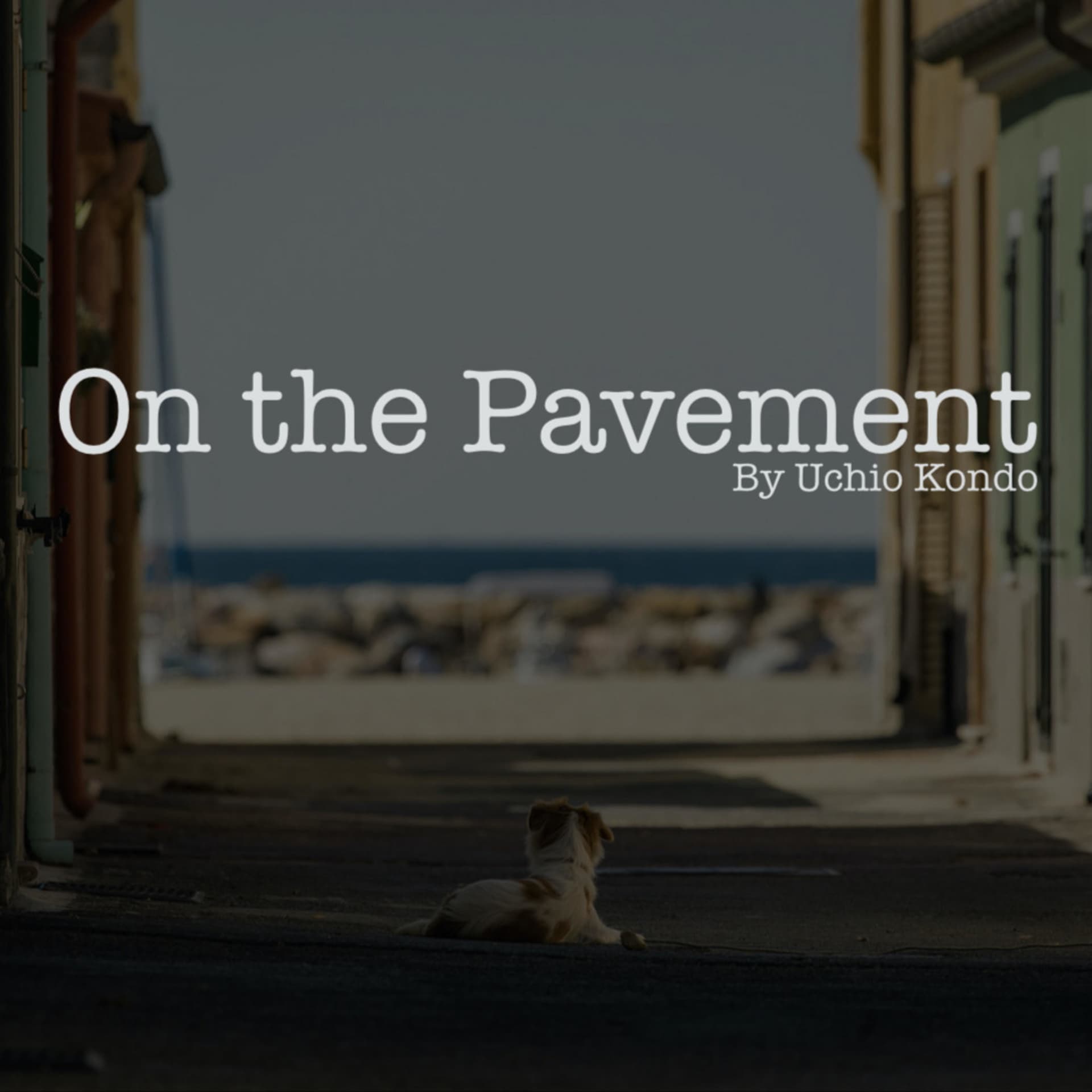 On The Pavement - Podcasts