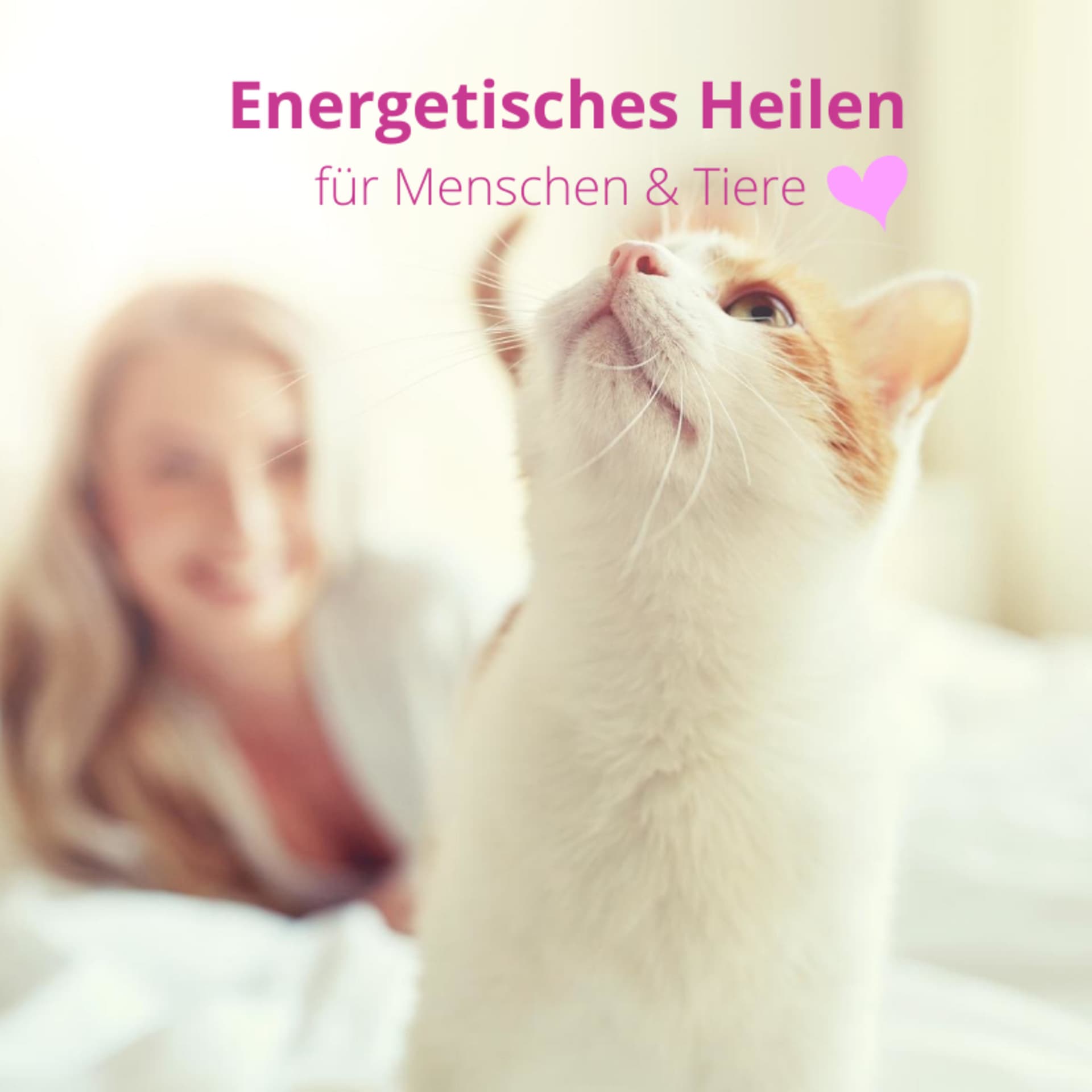 Energetisches Heilen für Menschen und Tiere - Podcasts