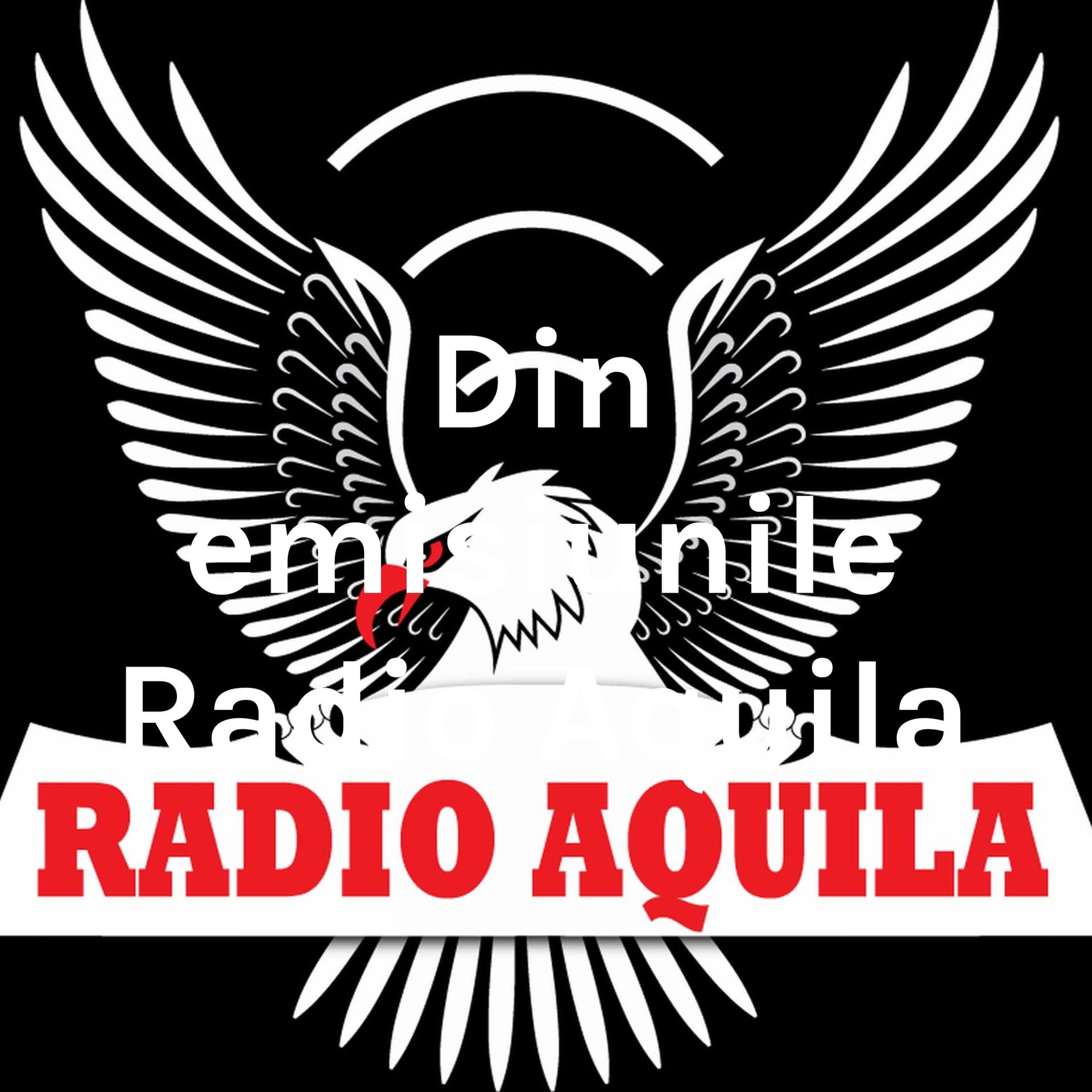 Din emisiunile Radio Aquila - Podcasts