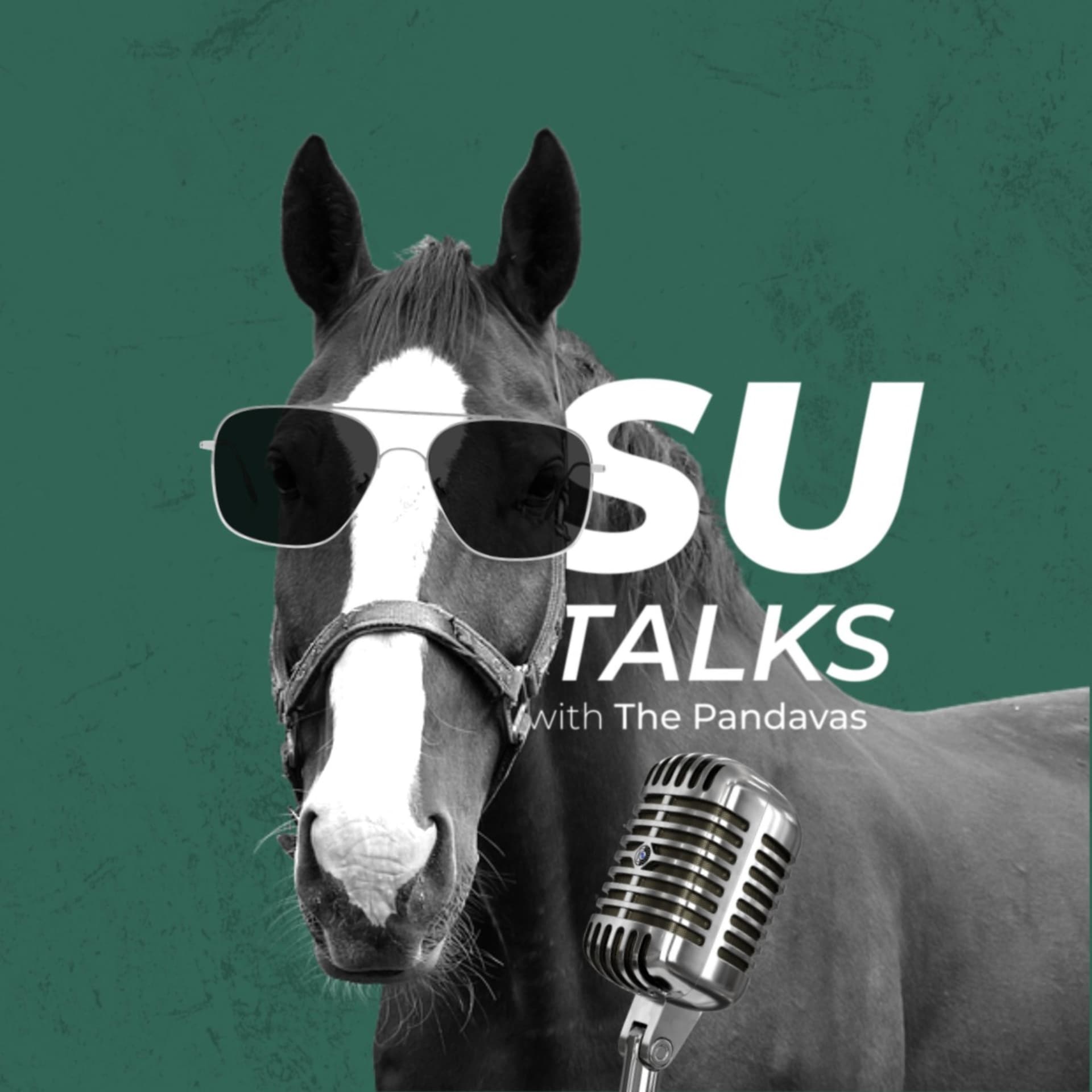 SU Talks - Podcasts