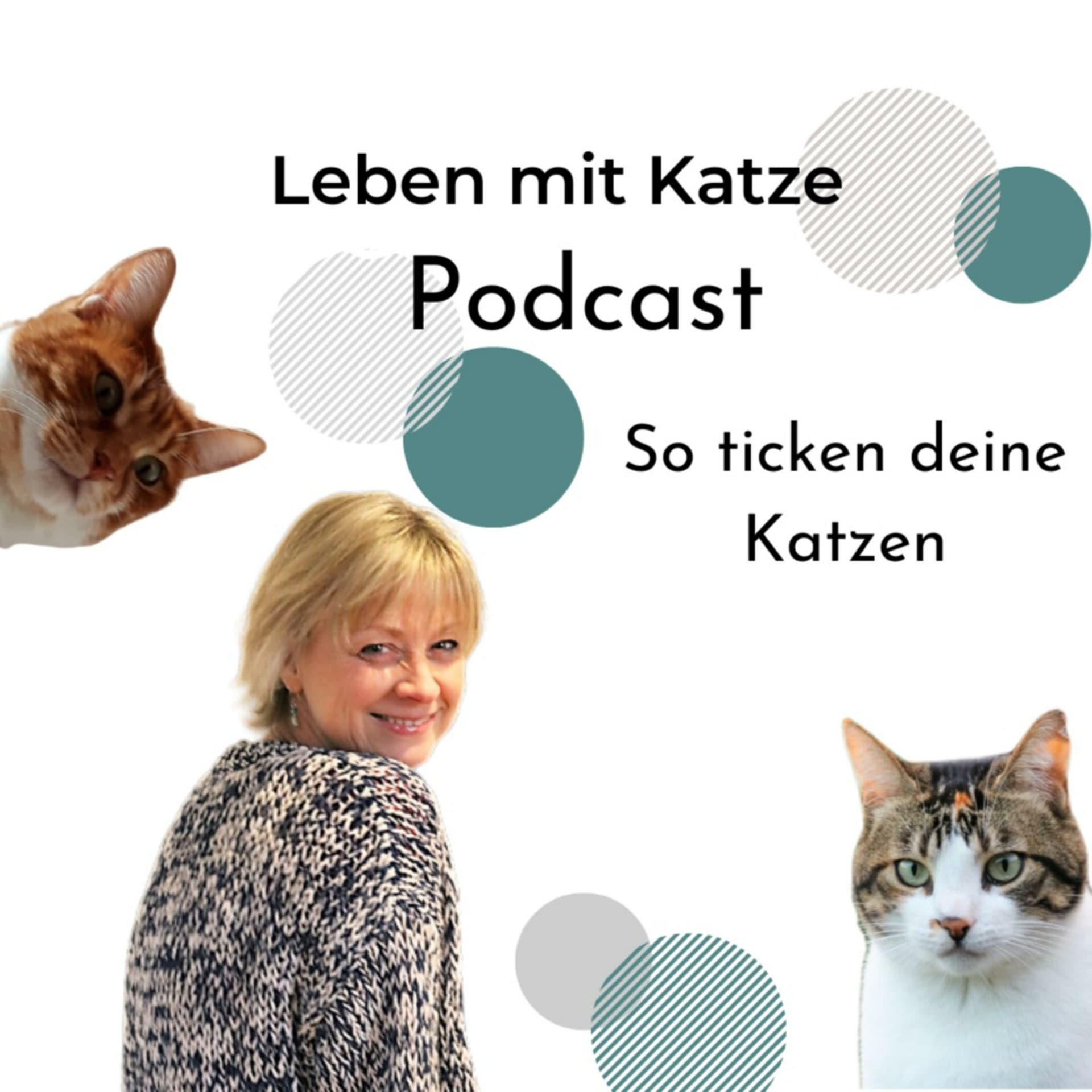 Leben mit Katze Podcast - Podcasts