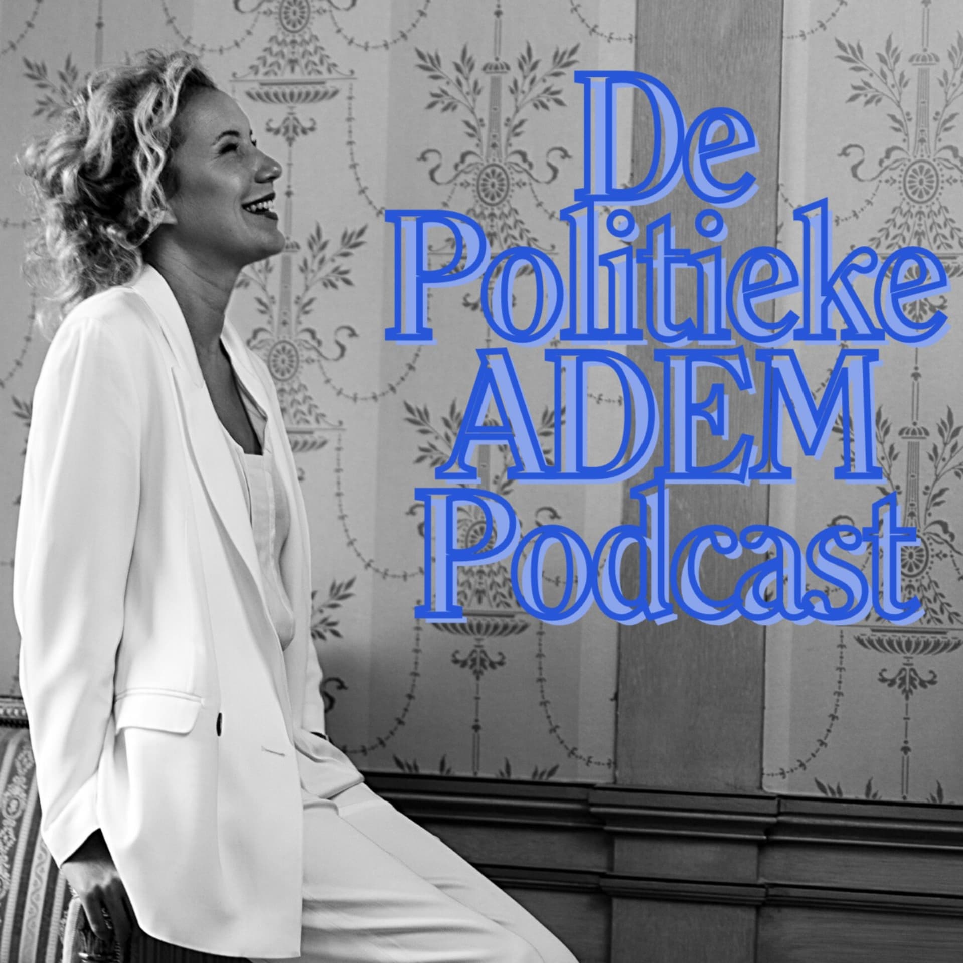 De Politieke Adem podcast - Podcasts