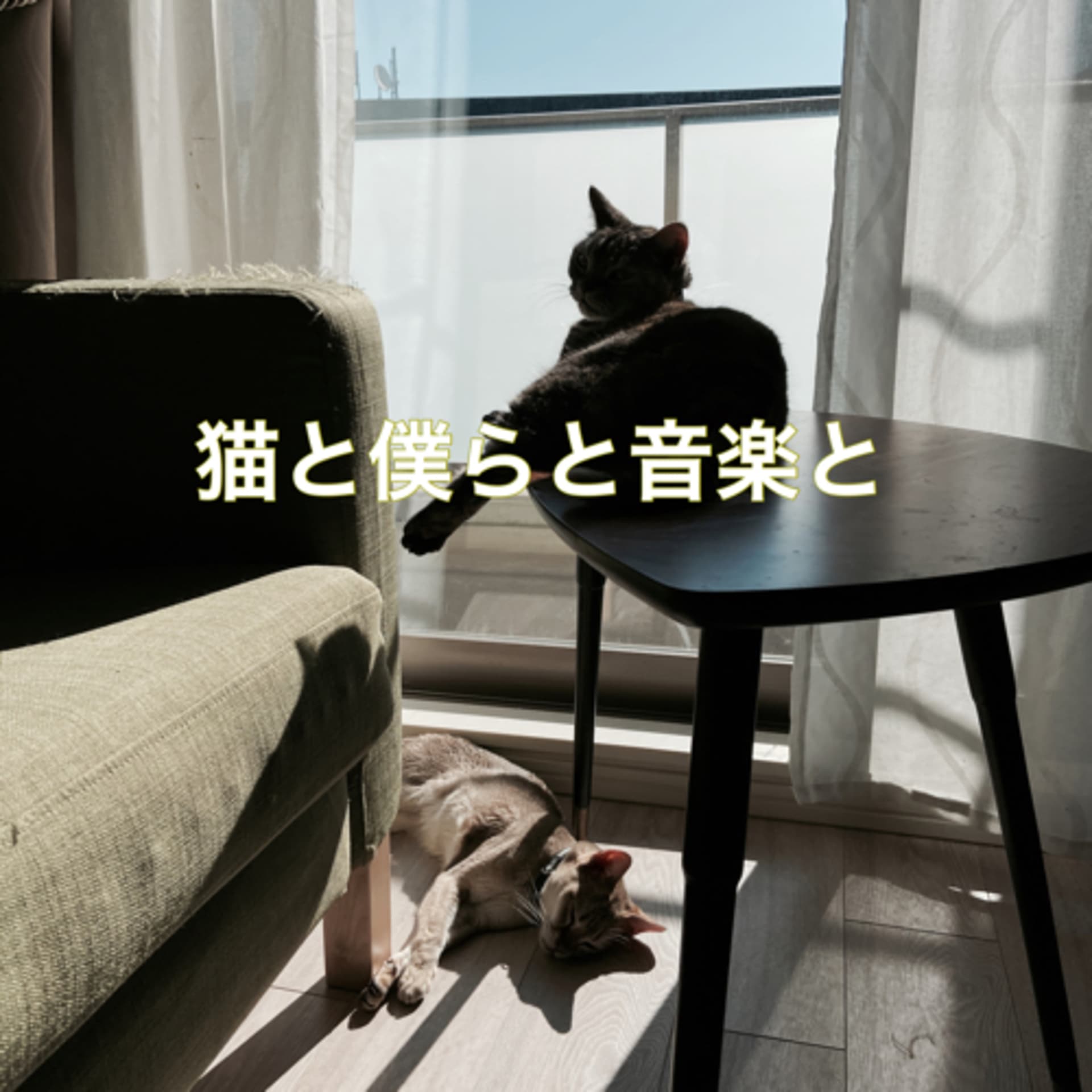 猫と僕らと音楽と - Podcasts