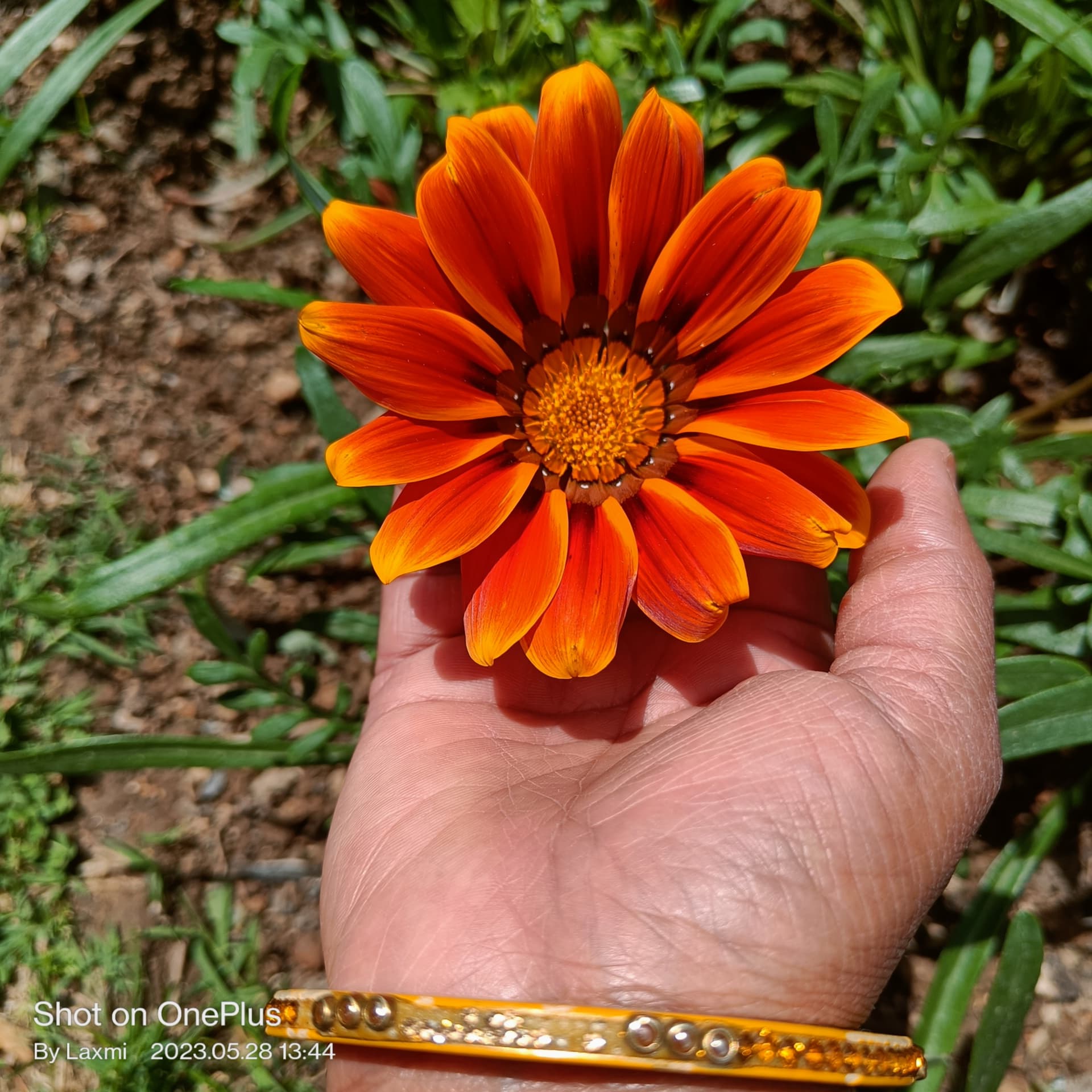 Vishnupriya's FOLKTALES - Podcasts