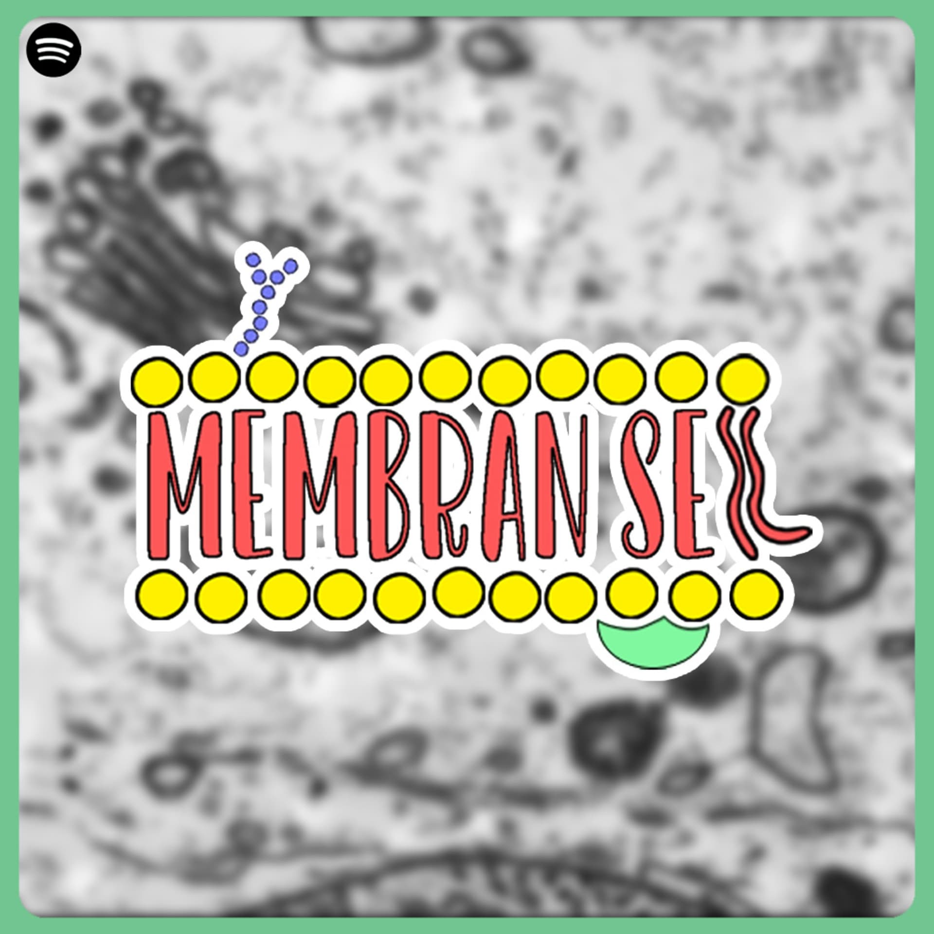 Membran Sel - Podcasts
