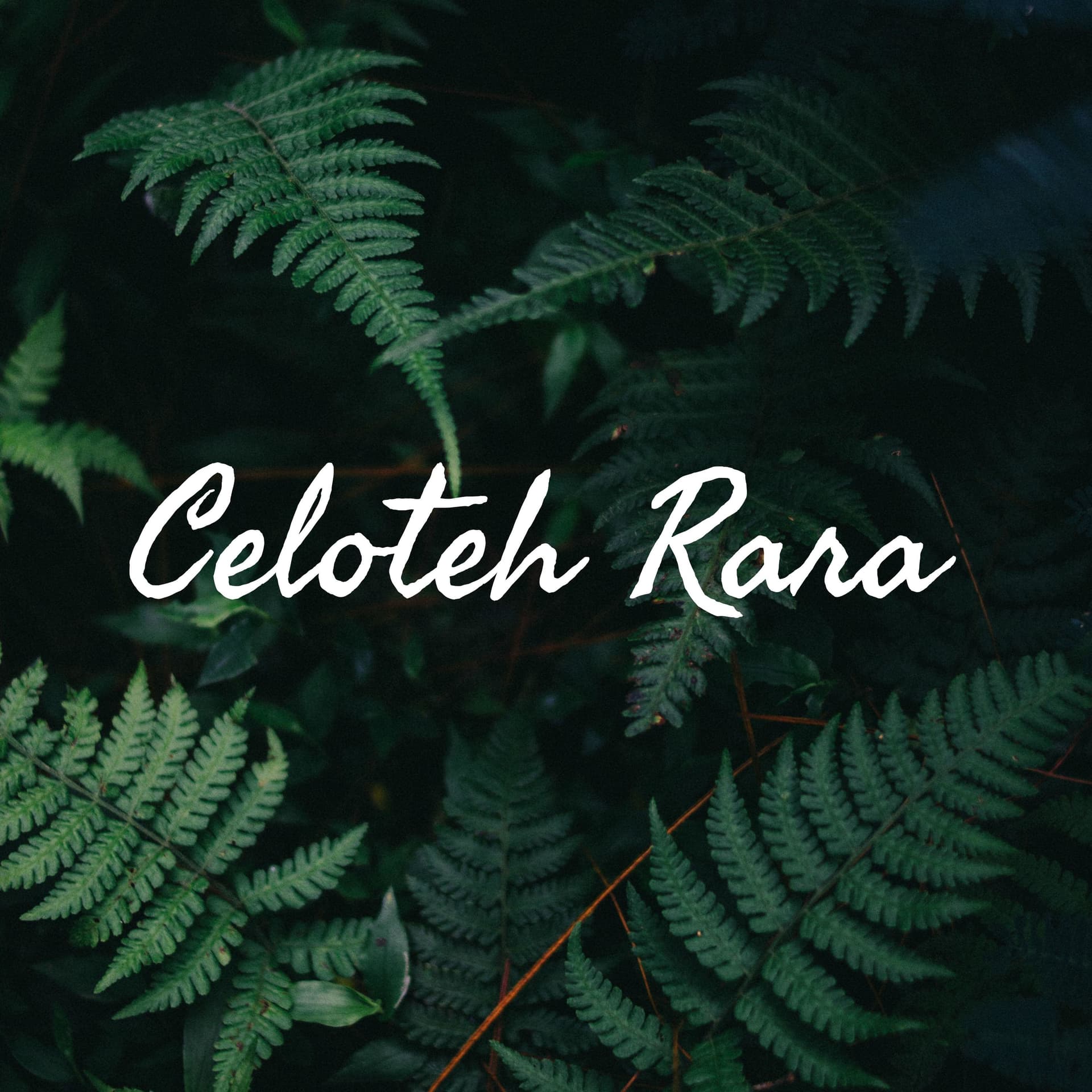 Celoteh Rara