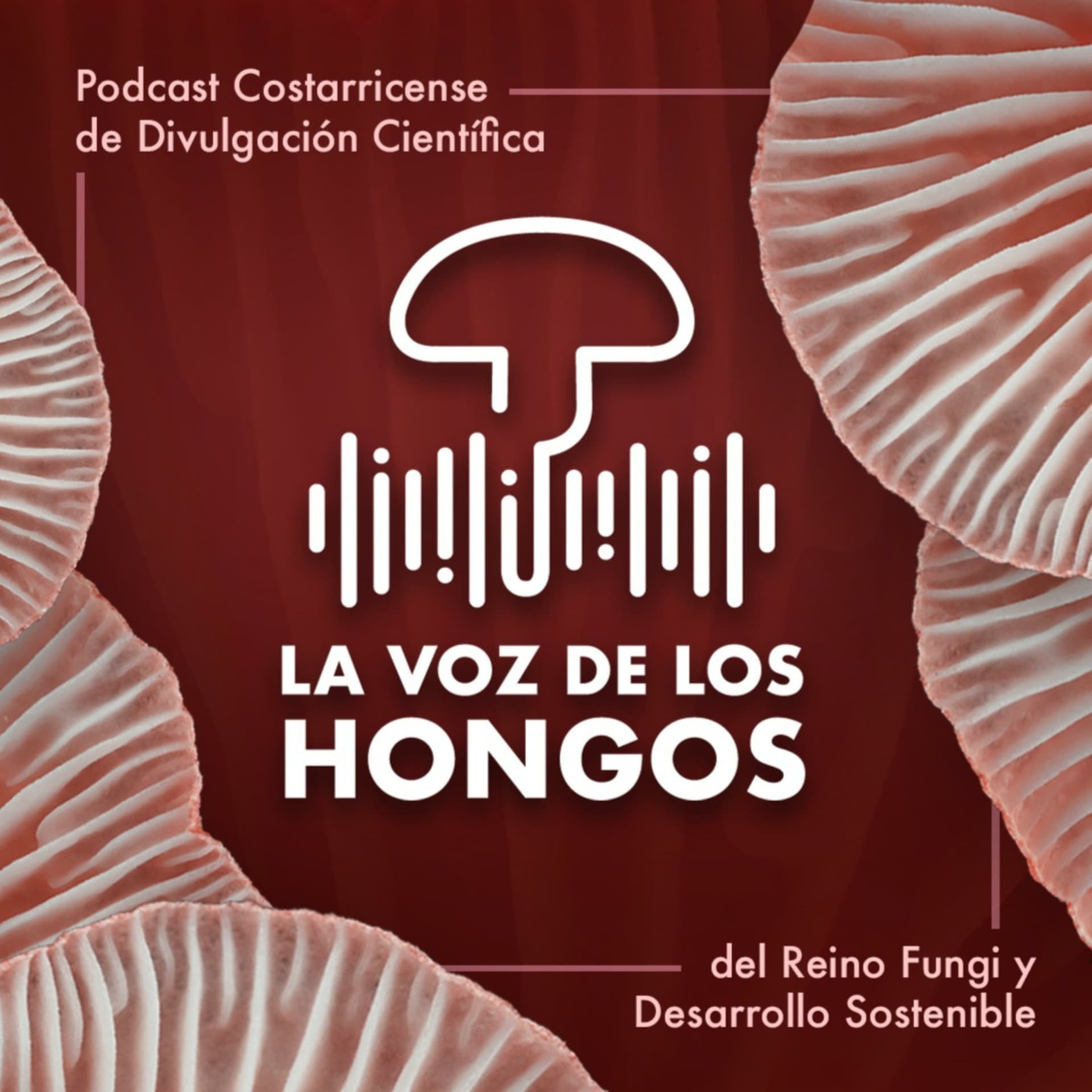 La Voz de los Hongos - Podcasts