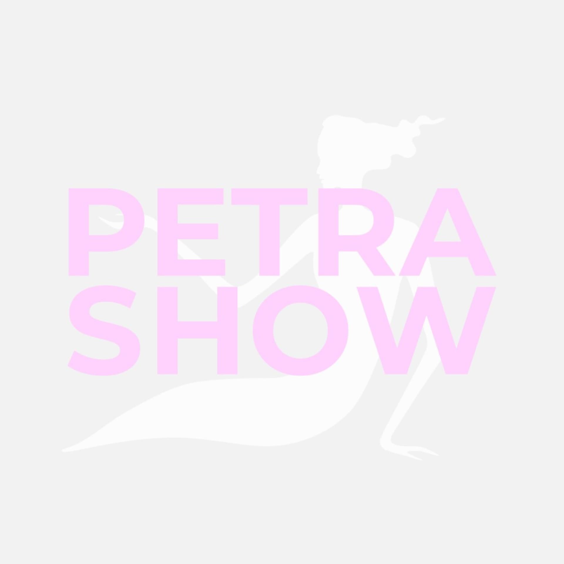Petra Show - Podcasts