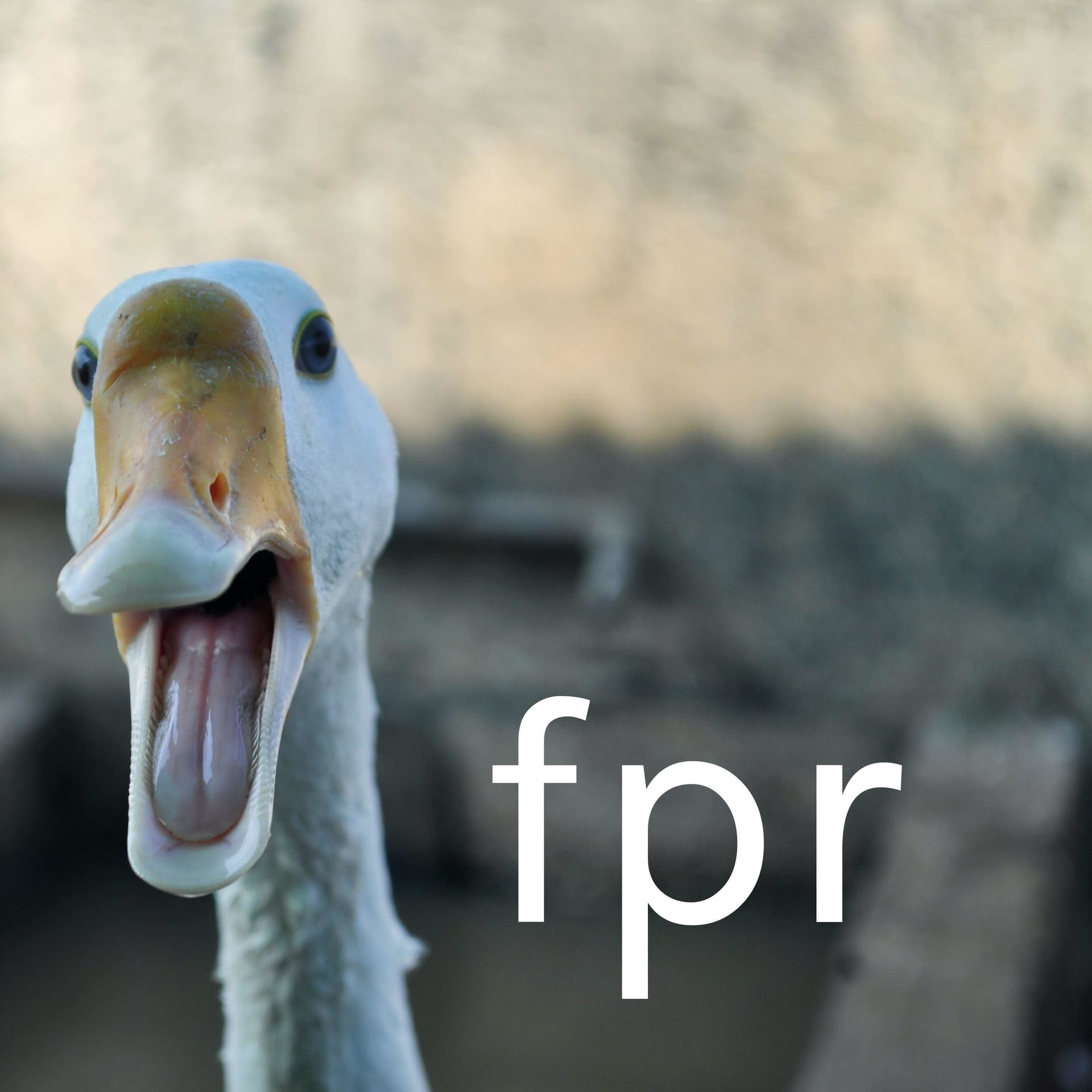 fpr - Podcasts