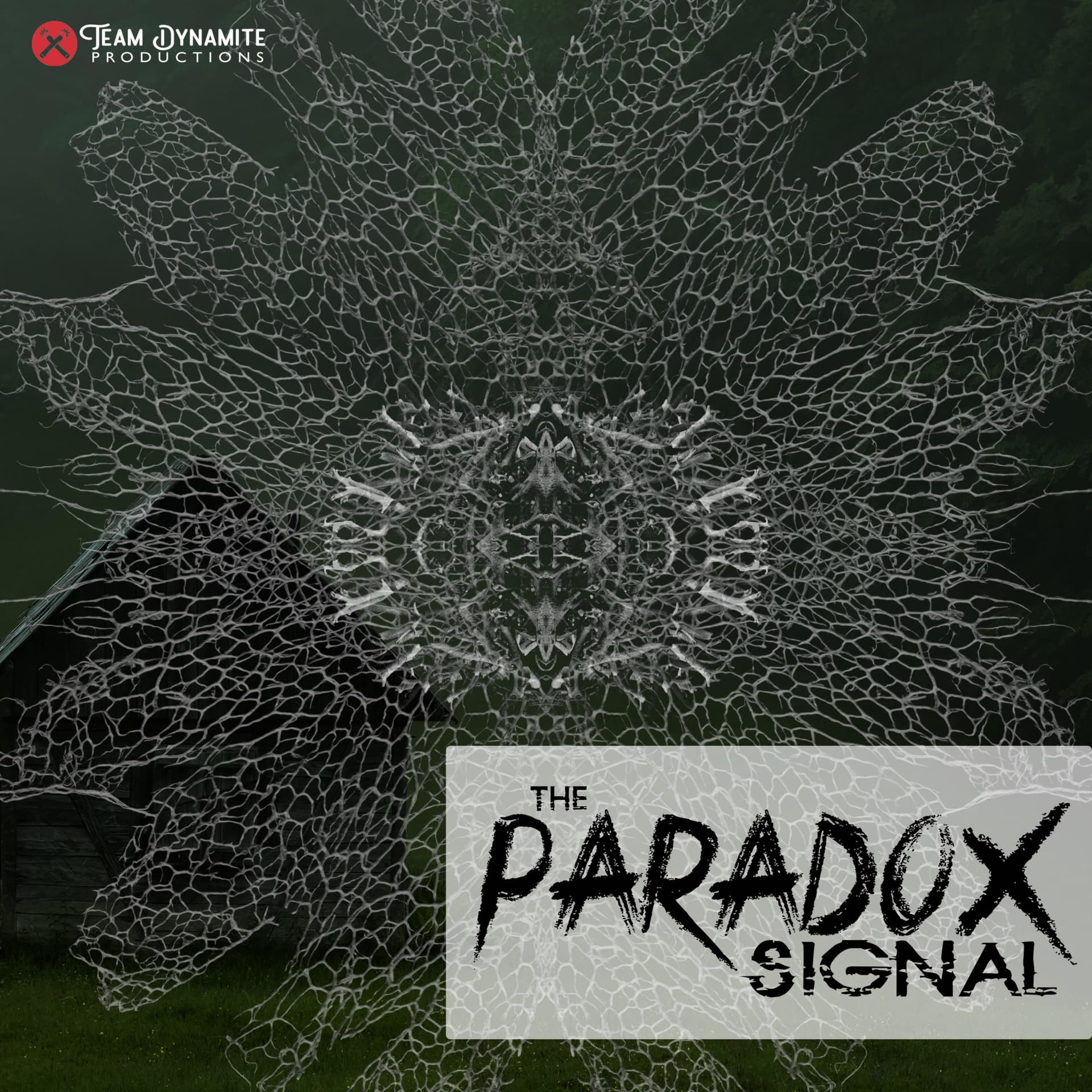 The Paradox Signal - Podcasts