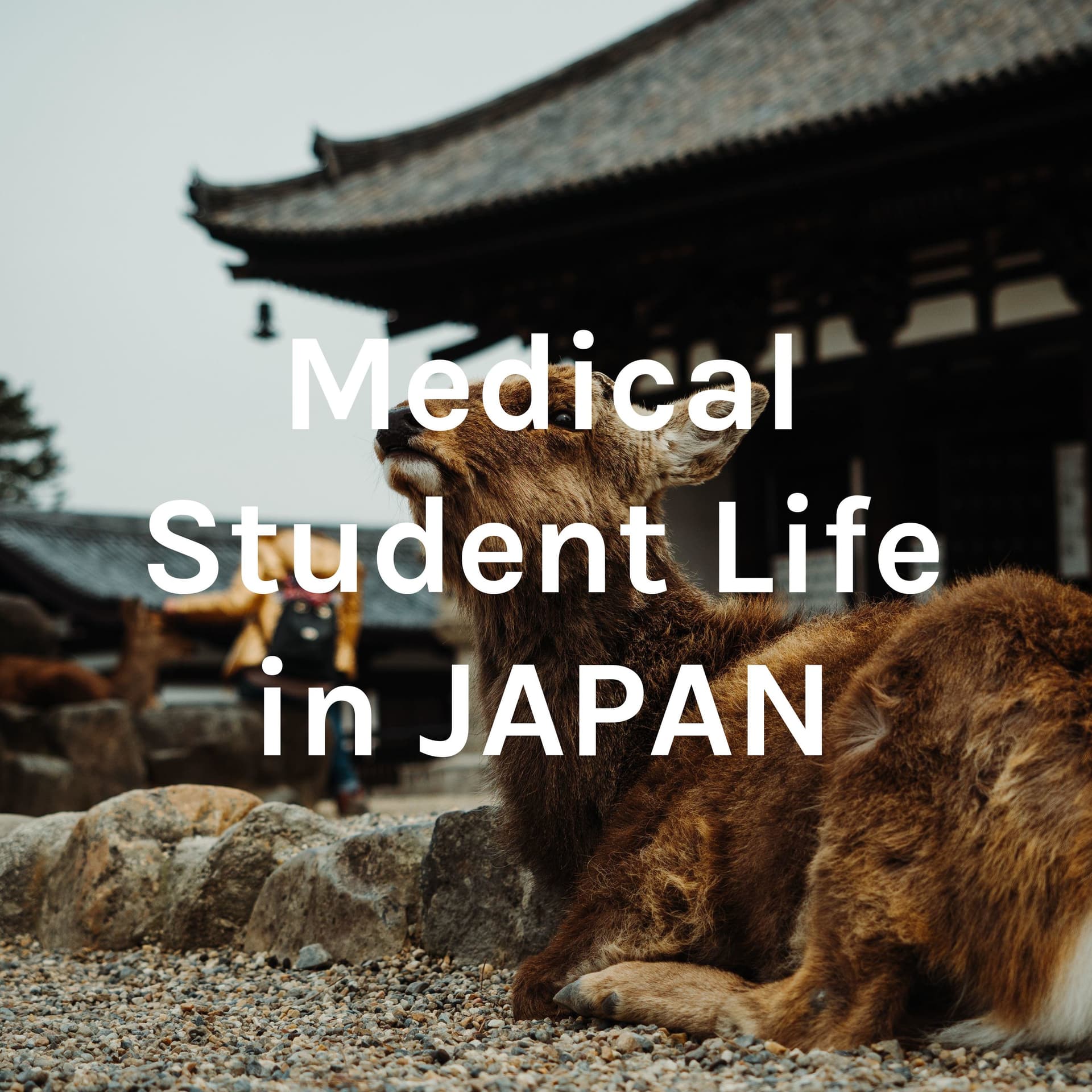 Medical Student Life in JAPAN - Podcasts