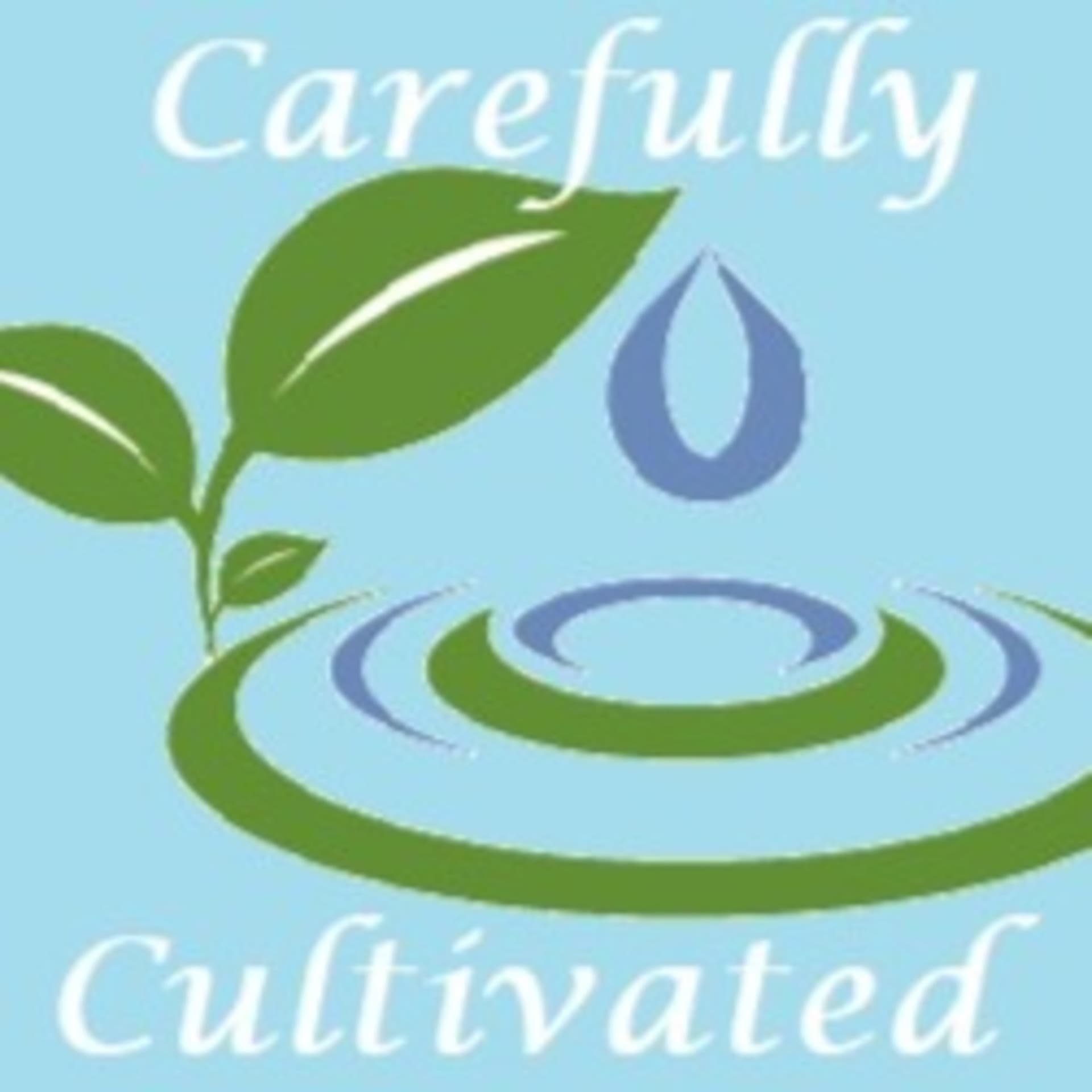 Planning for the Planting - Podcasts