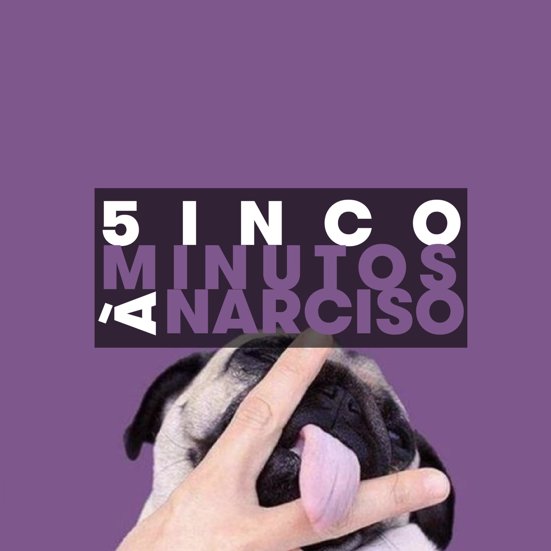 cinco minutos à narciso - Podcasts