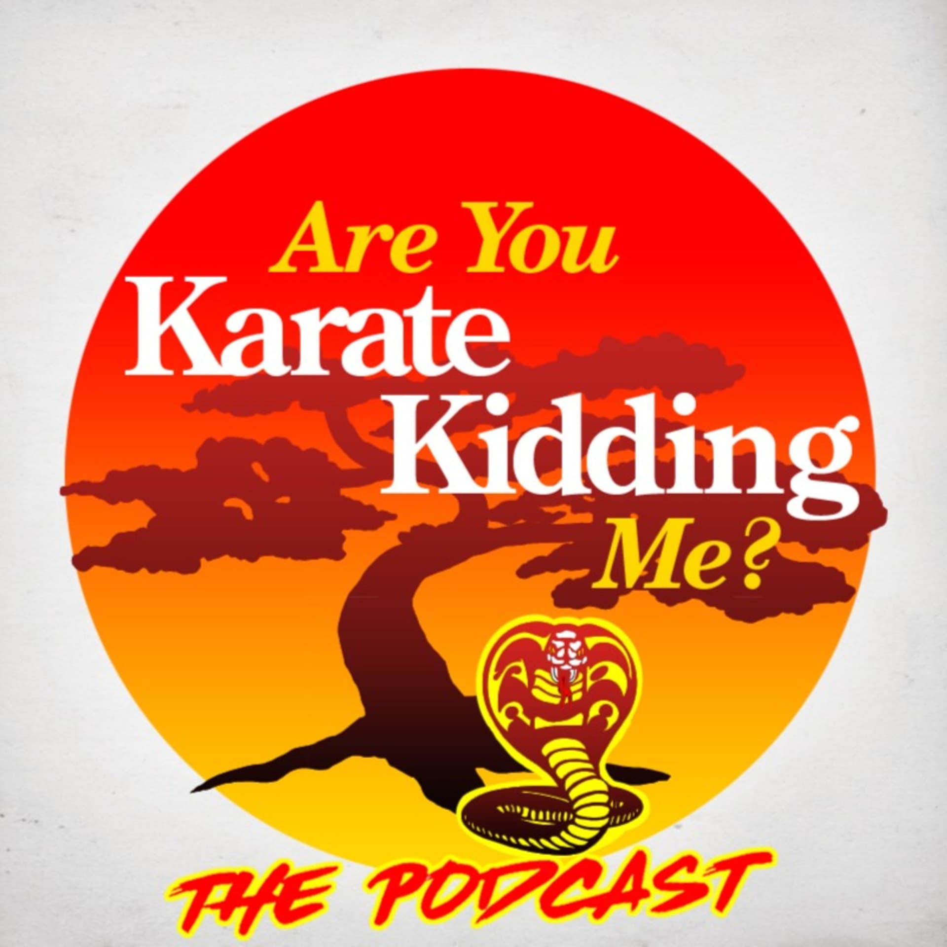 Are You Karate Kidding Me? - Podcasts