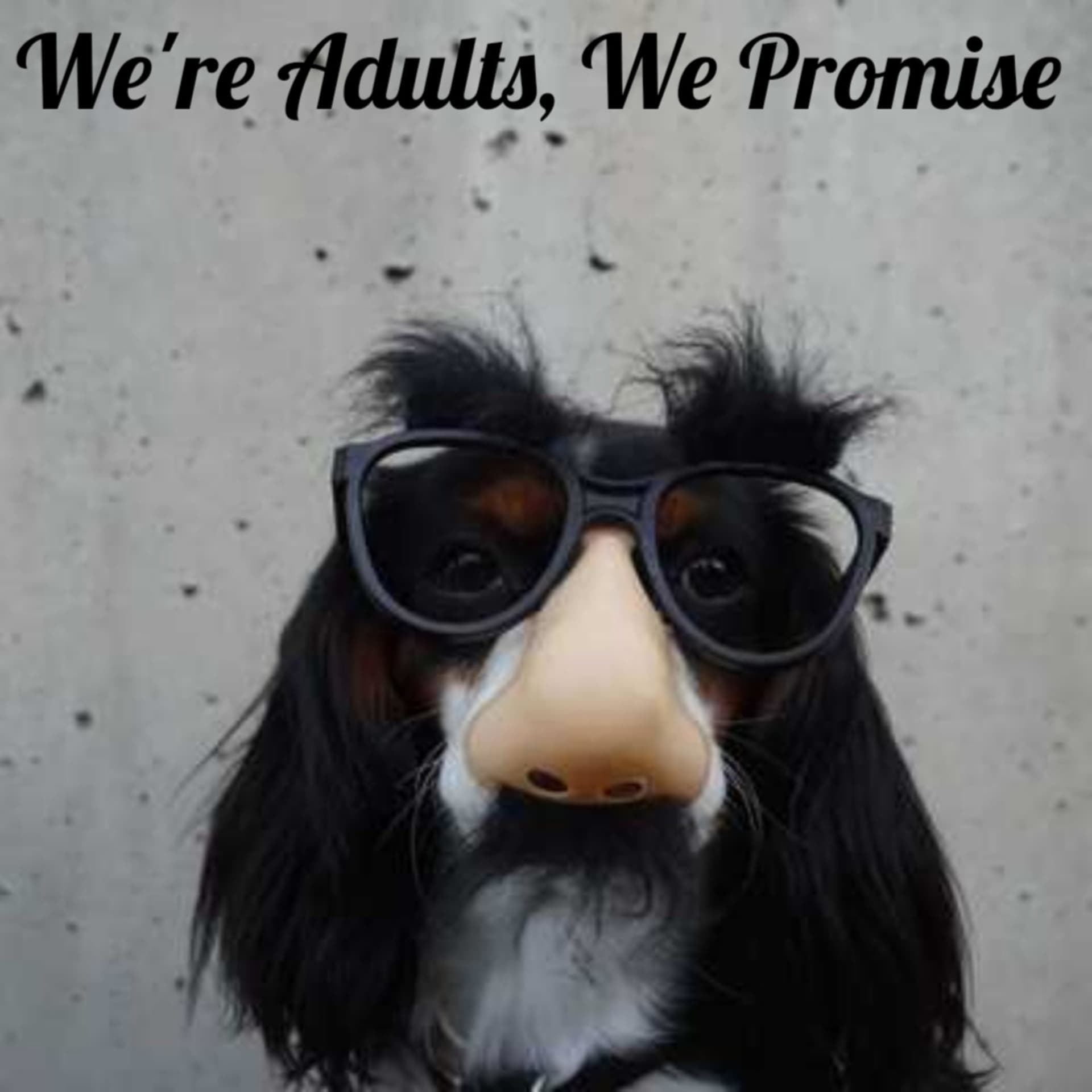 We're Adults, We Promise - Podcasts