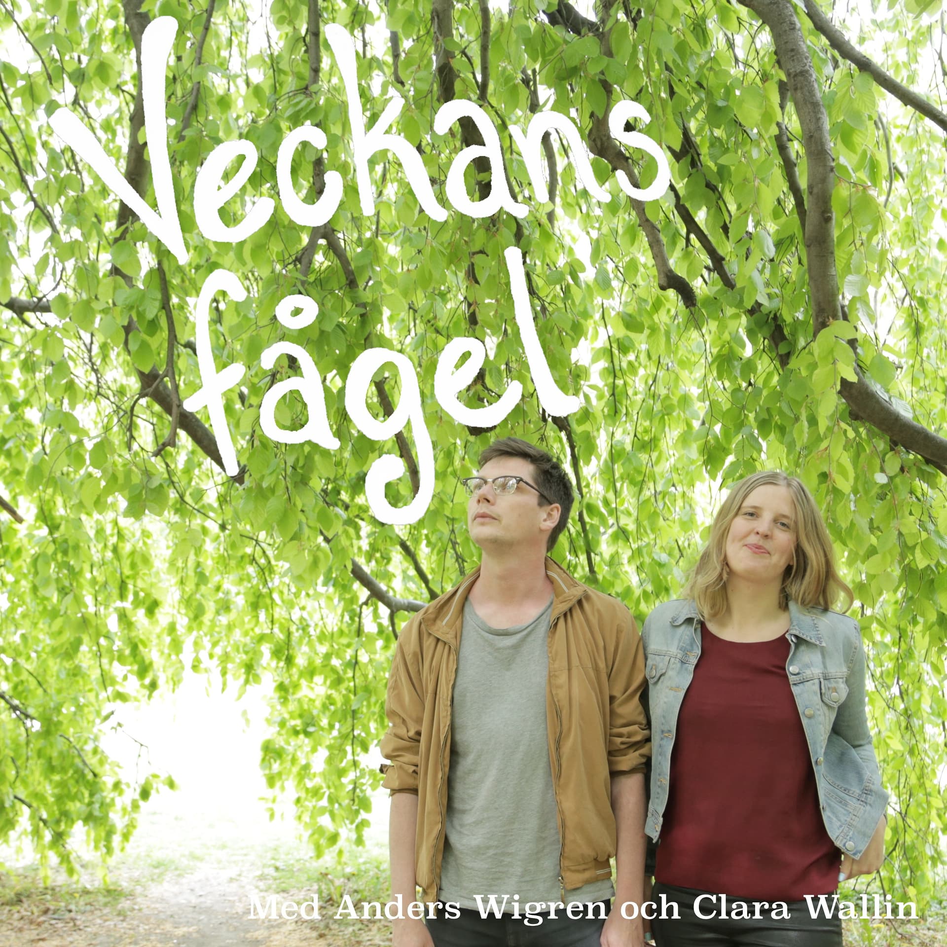 Veckans fågel - Podcasts